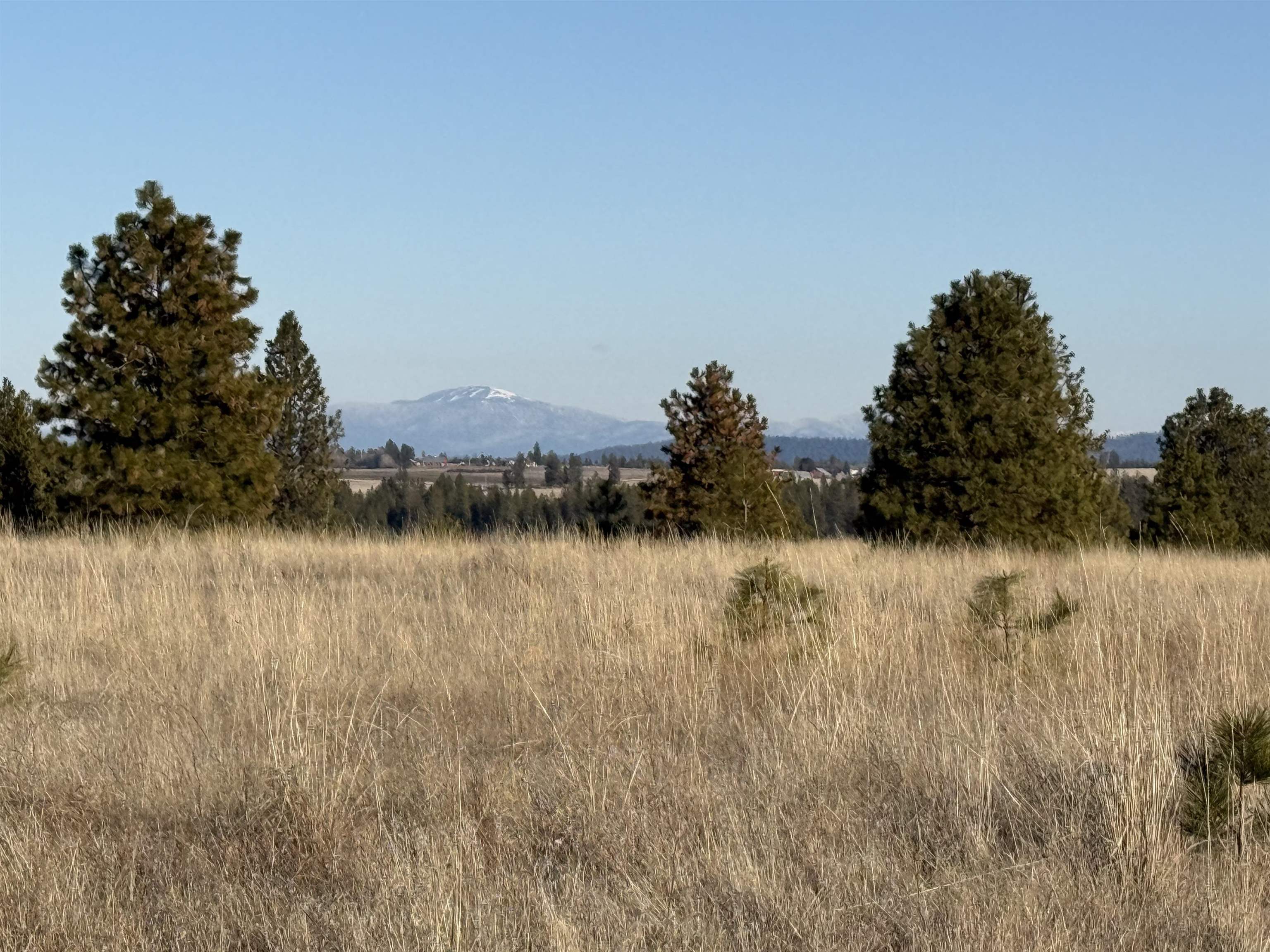 15211 N Wood Rd - Photo 12