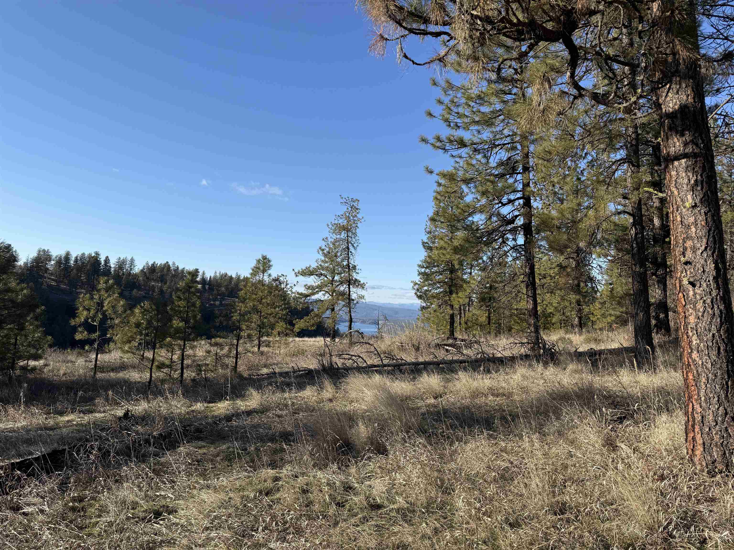 15211 N Wood Rd - Photo 27
