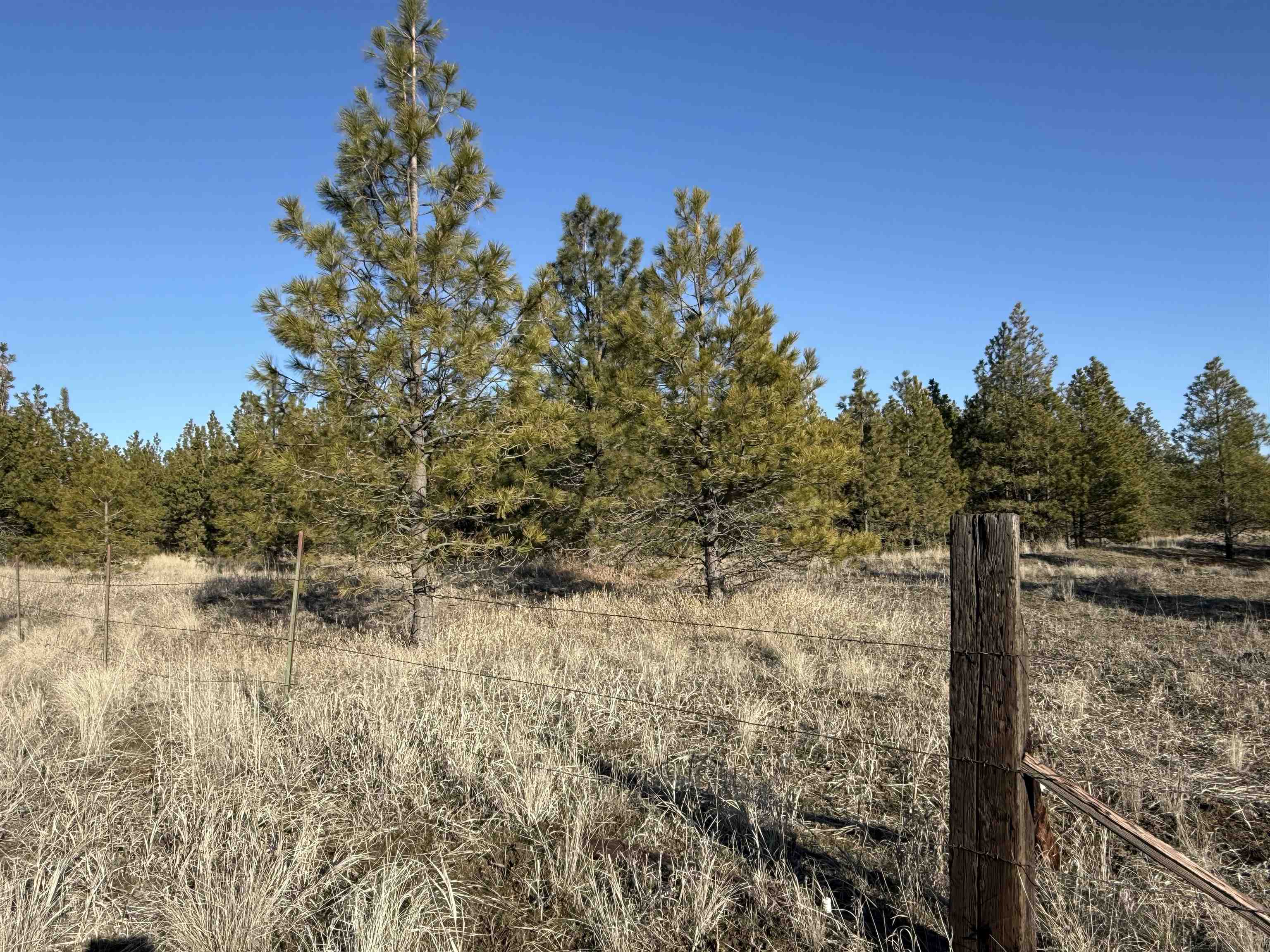 15211 N Wood Rd - Photo 19