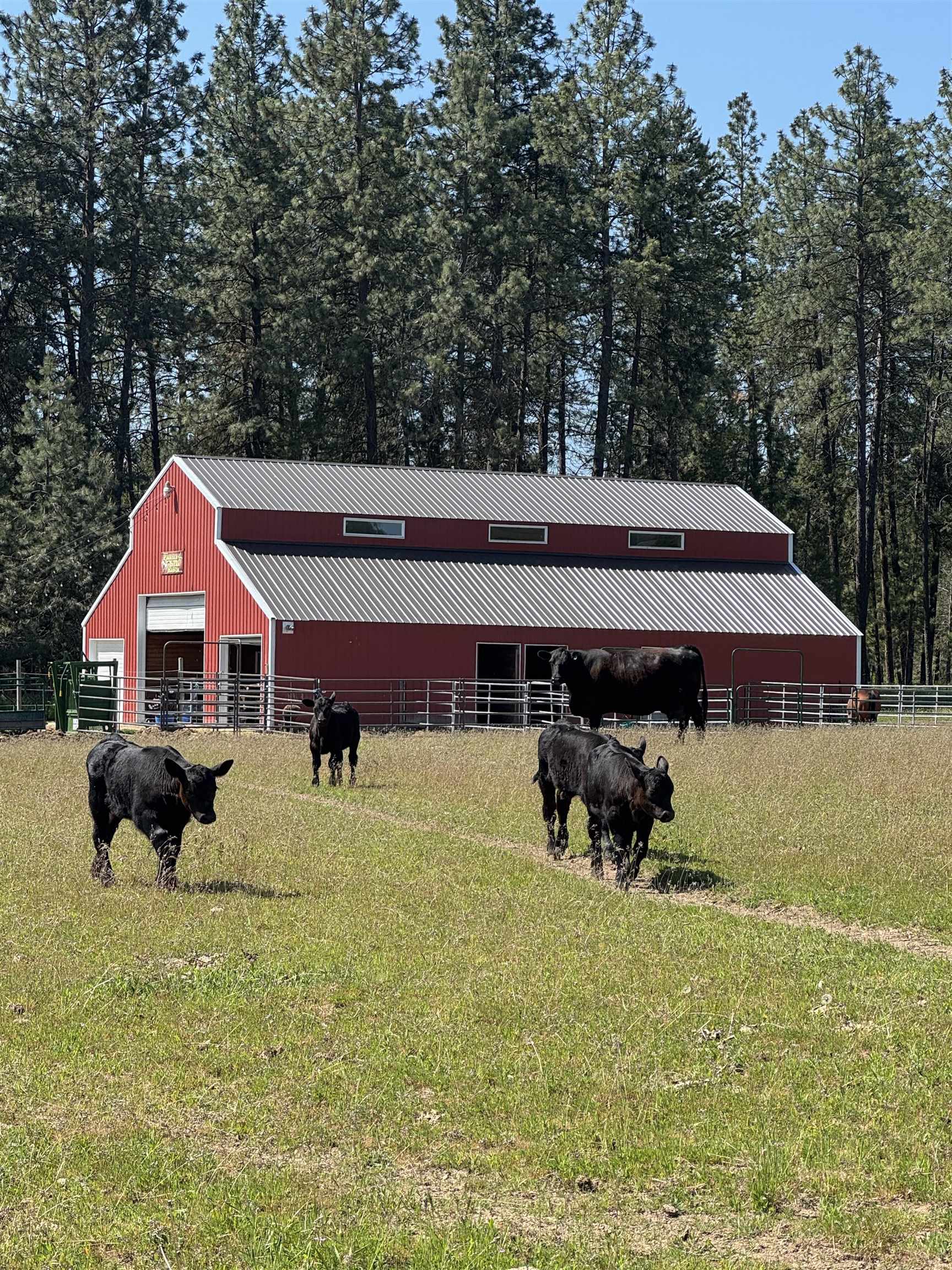 21411 N Spotted Rd - Photo 42