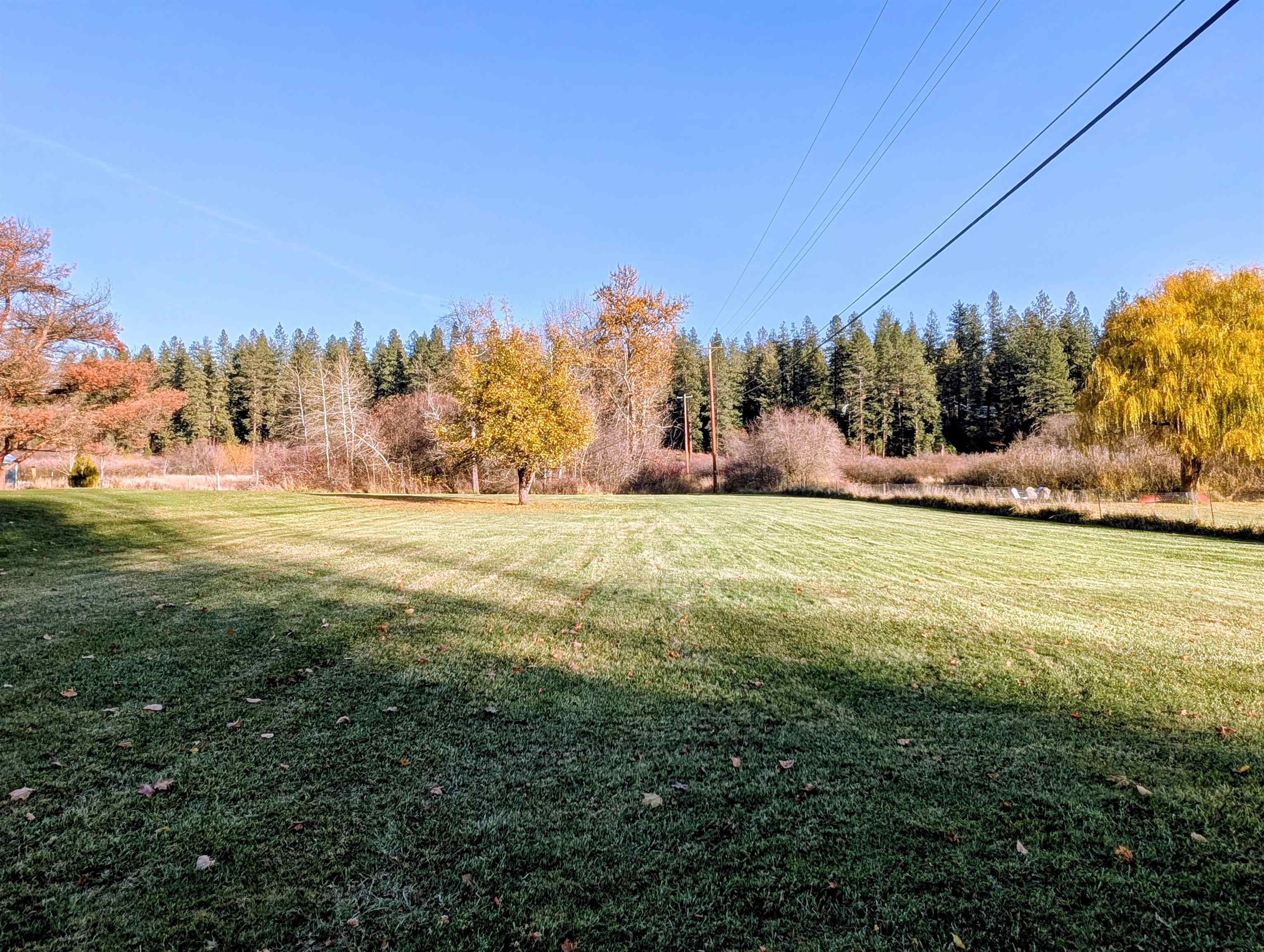 26310 N River Estates Dr - Photo 29