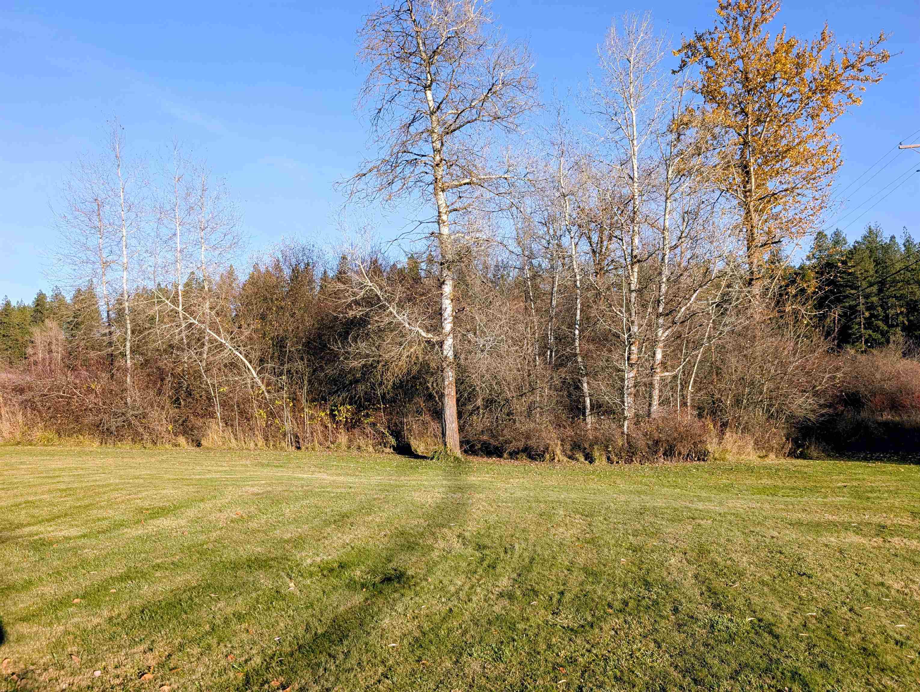 26310 N River Estates Dr - Photo 44