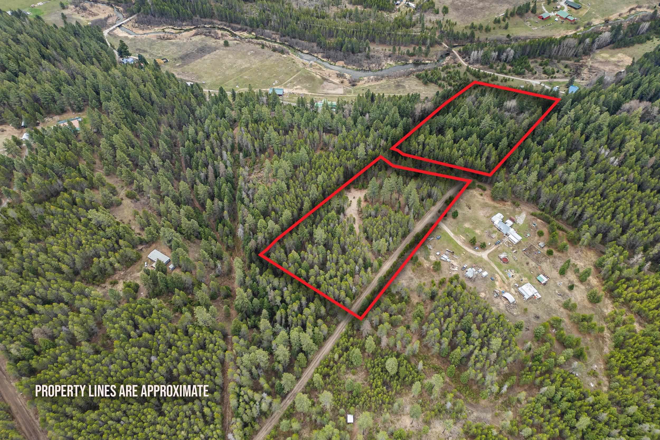 1901 Pines Rd - Photo 6