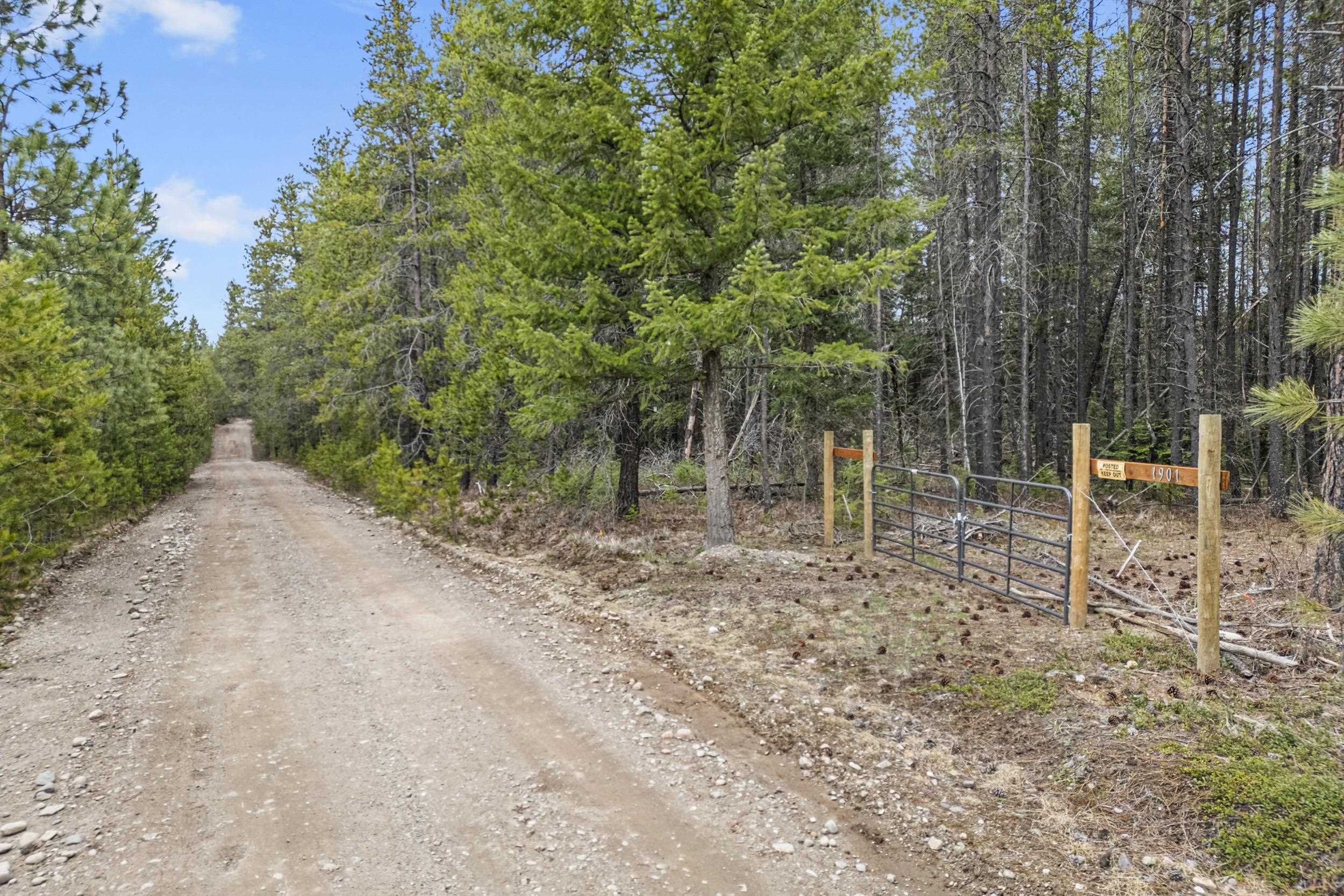 1901 Pines Rd - Photo 9