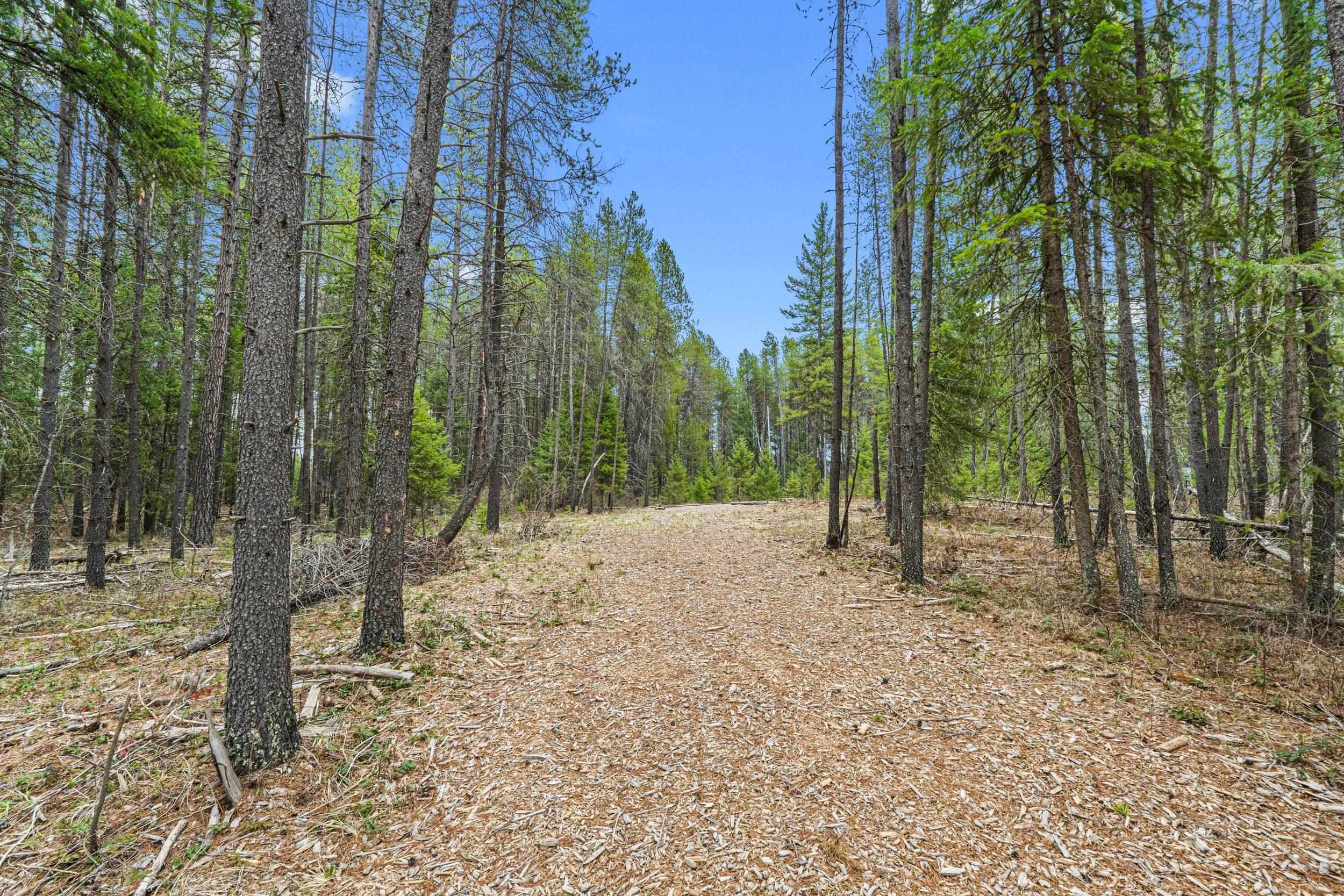 1901 Pines Rd - Photo 11