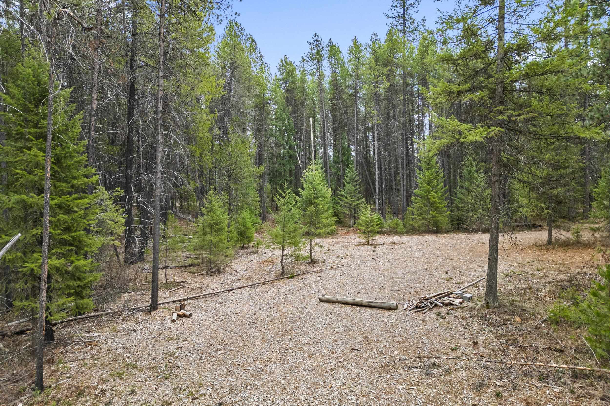1901 Pines Rd - Photo 3