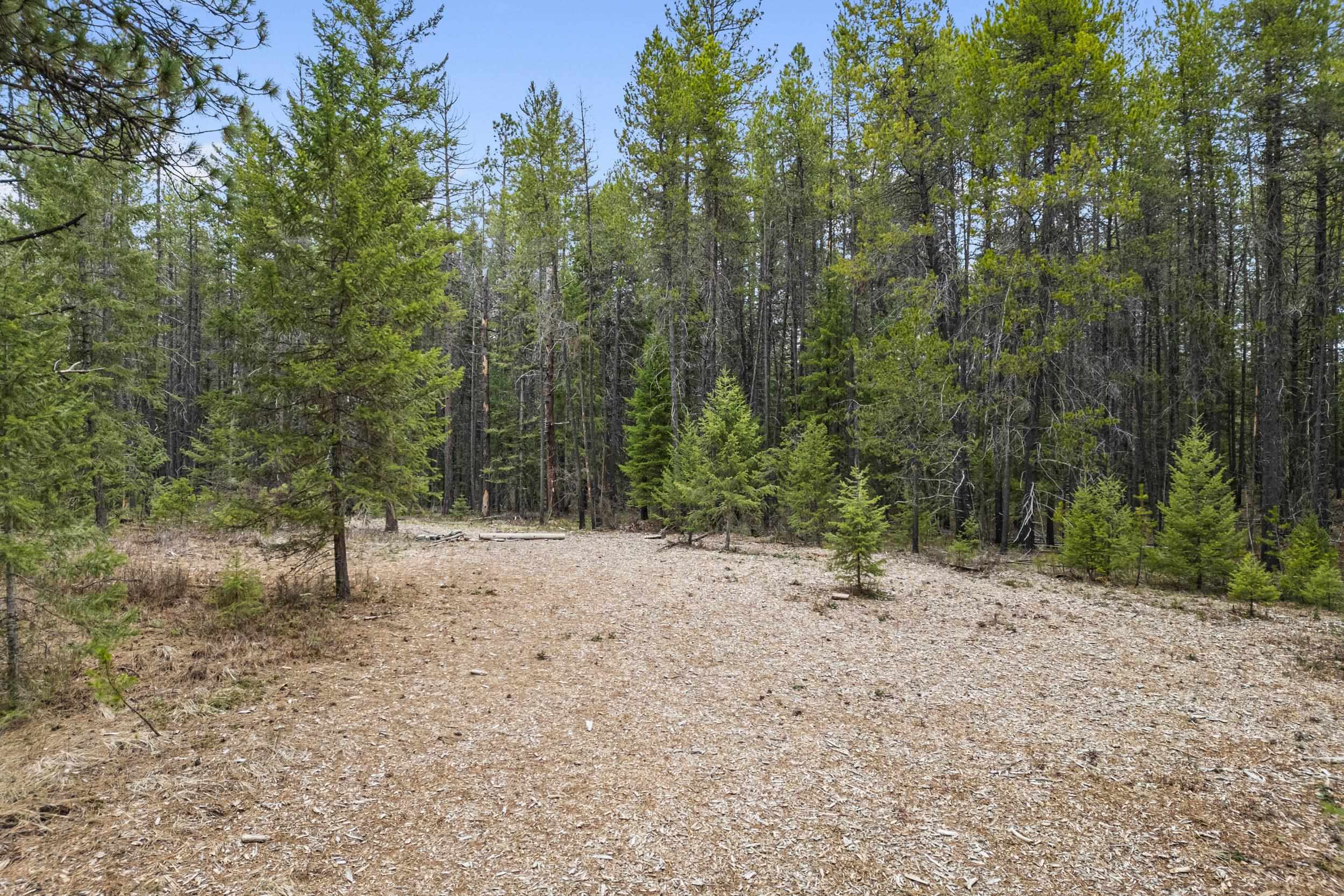 1901 Pines Rd - Photo 13