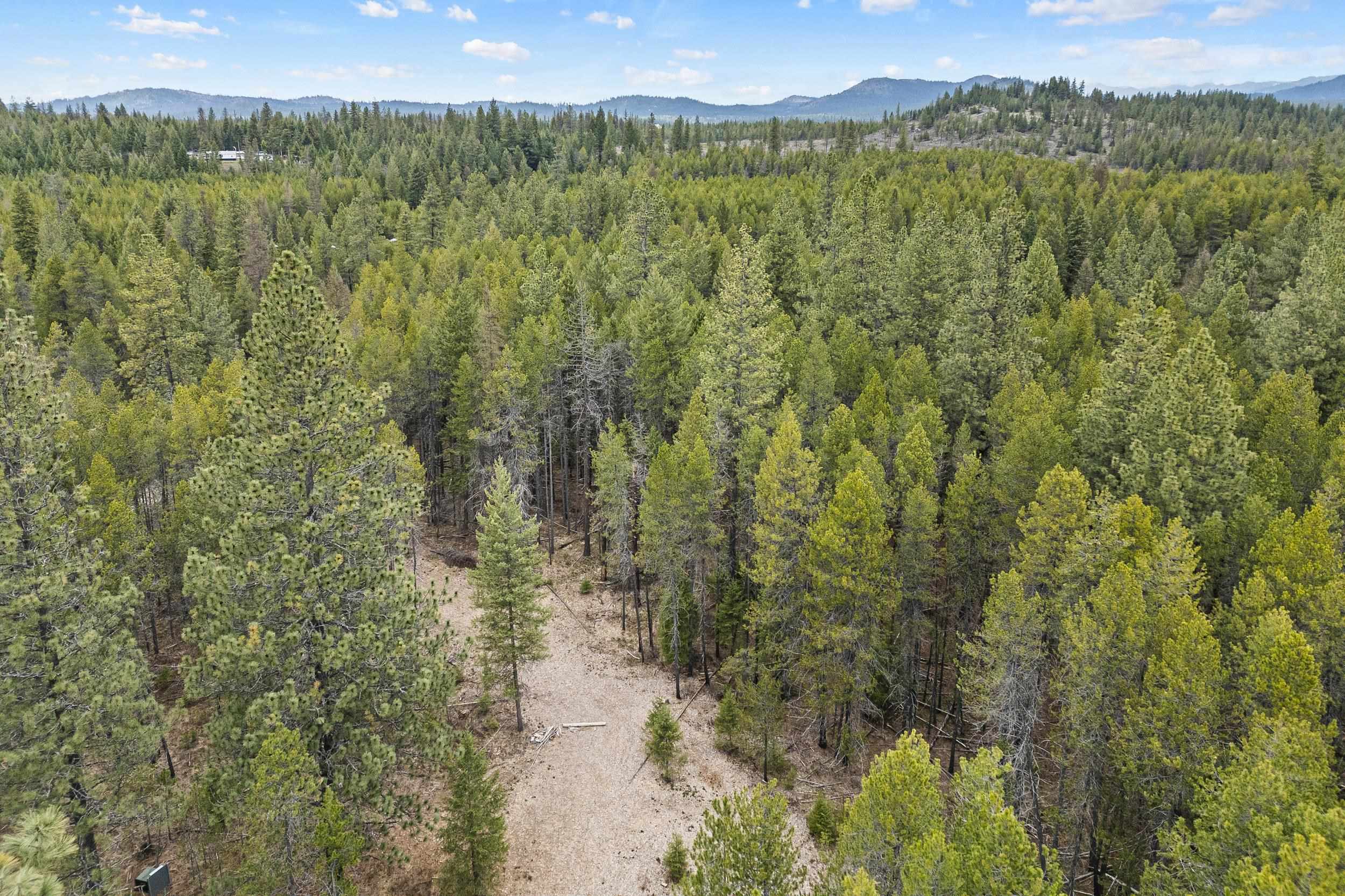 1901 Pines Rd - Photo 4
