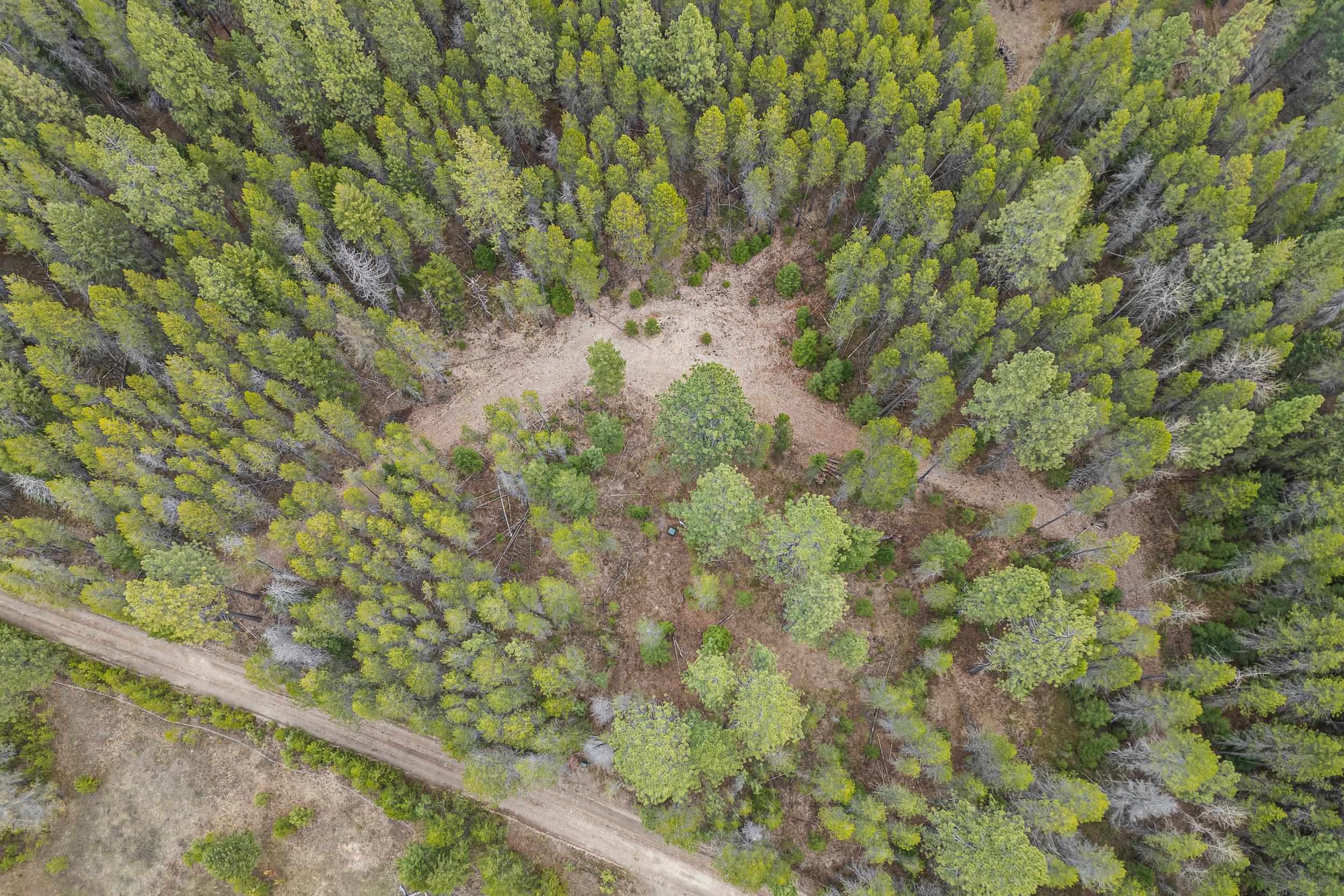 1901 Pines Rd - Photo 14