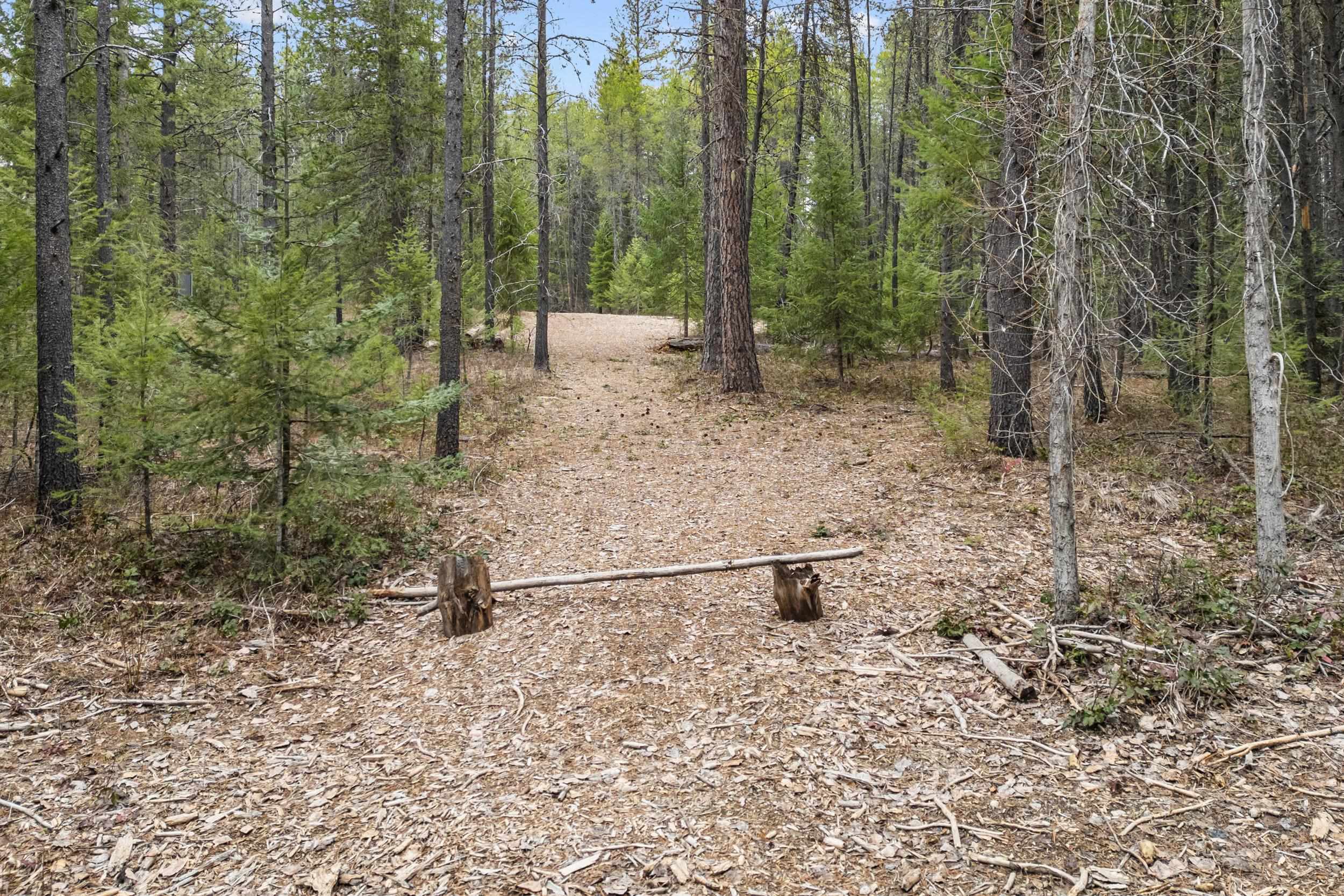 1901 Pines Rd - Photo 15