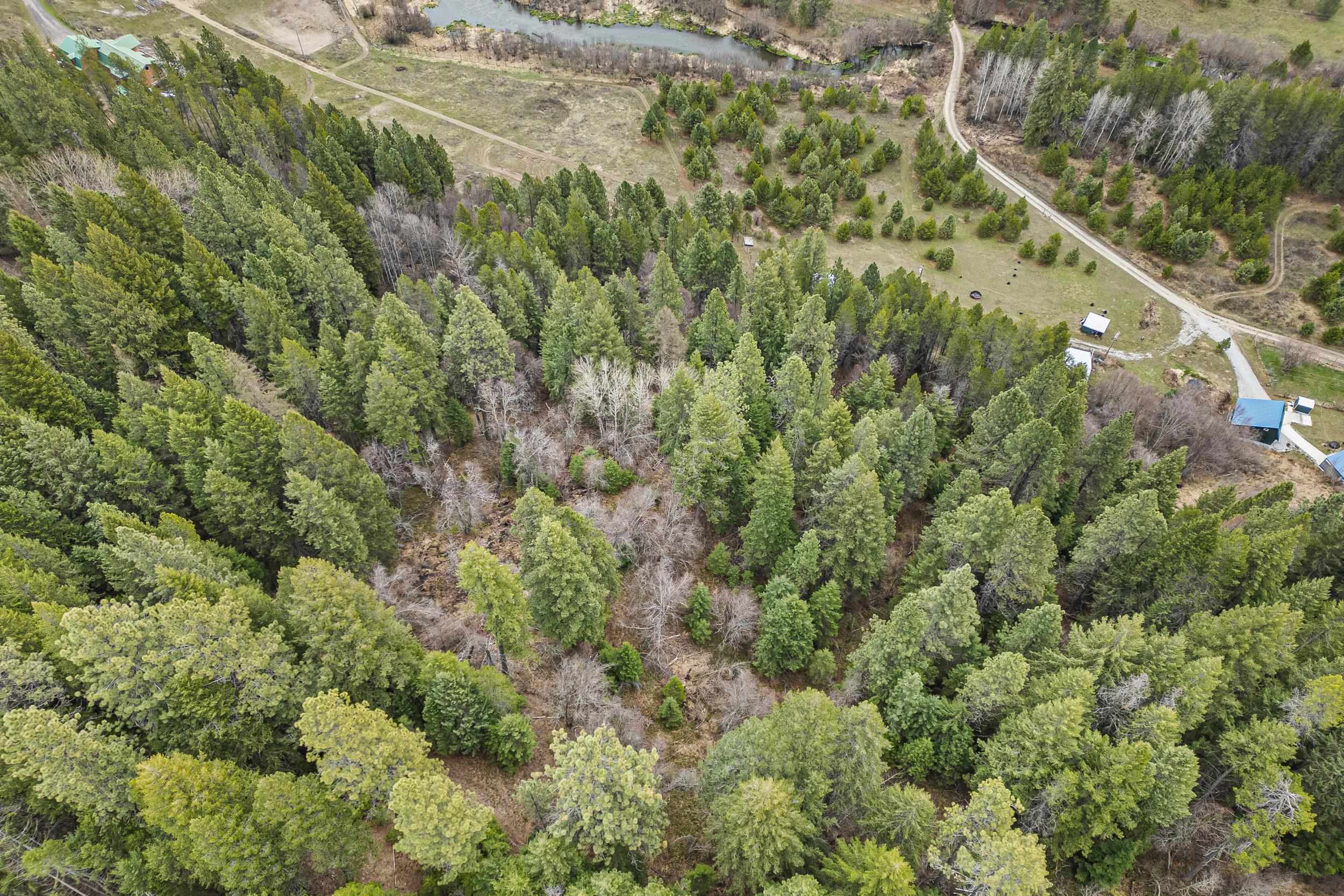 1901 Pines Rd - Photo 18