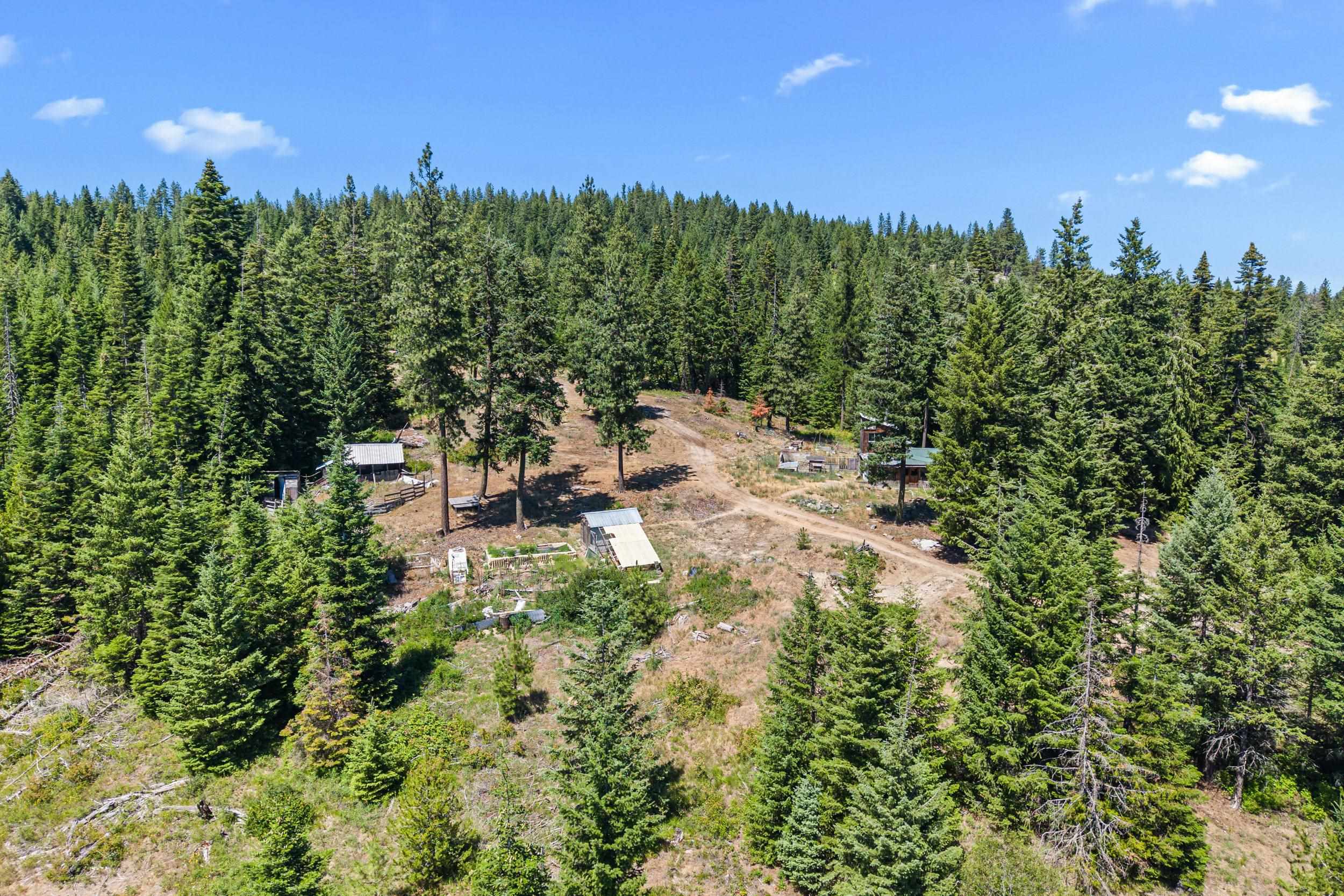 1022 Spring Hill Rd - Photo 4