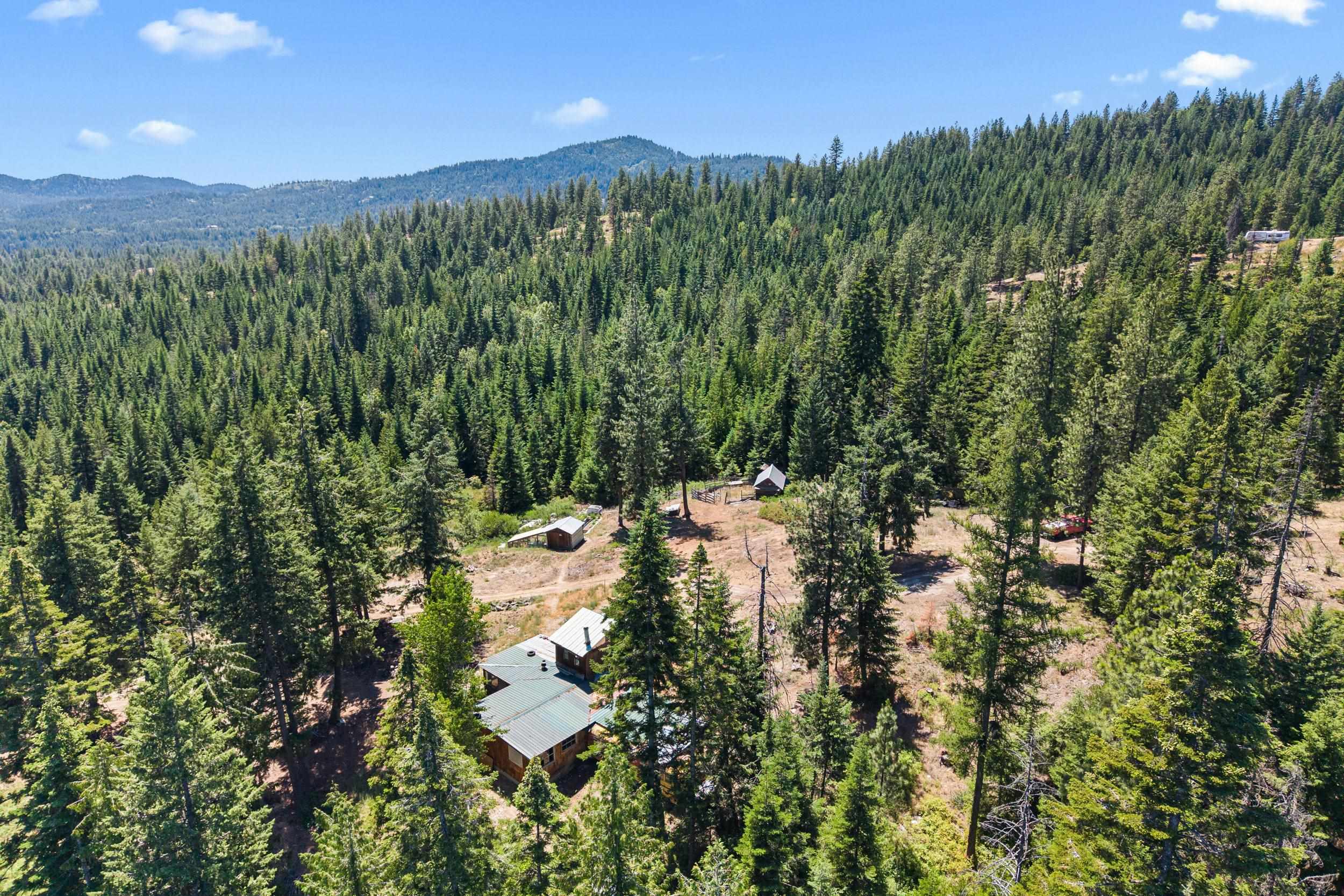 1022 Spring Hill Rd - Photo 2