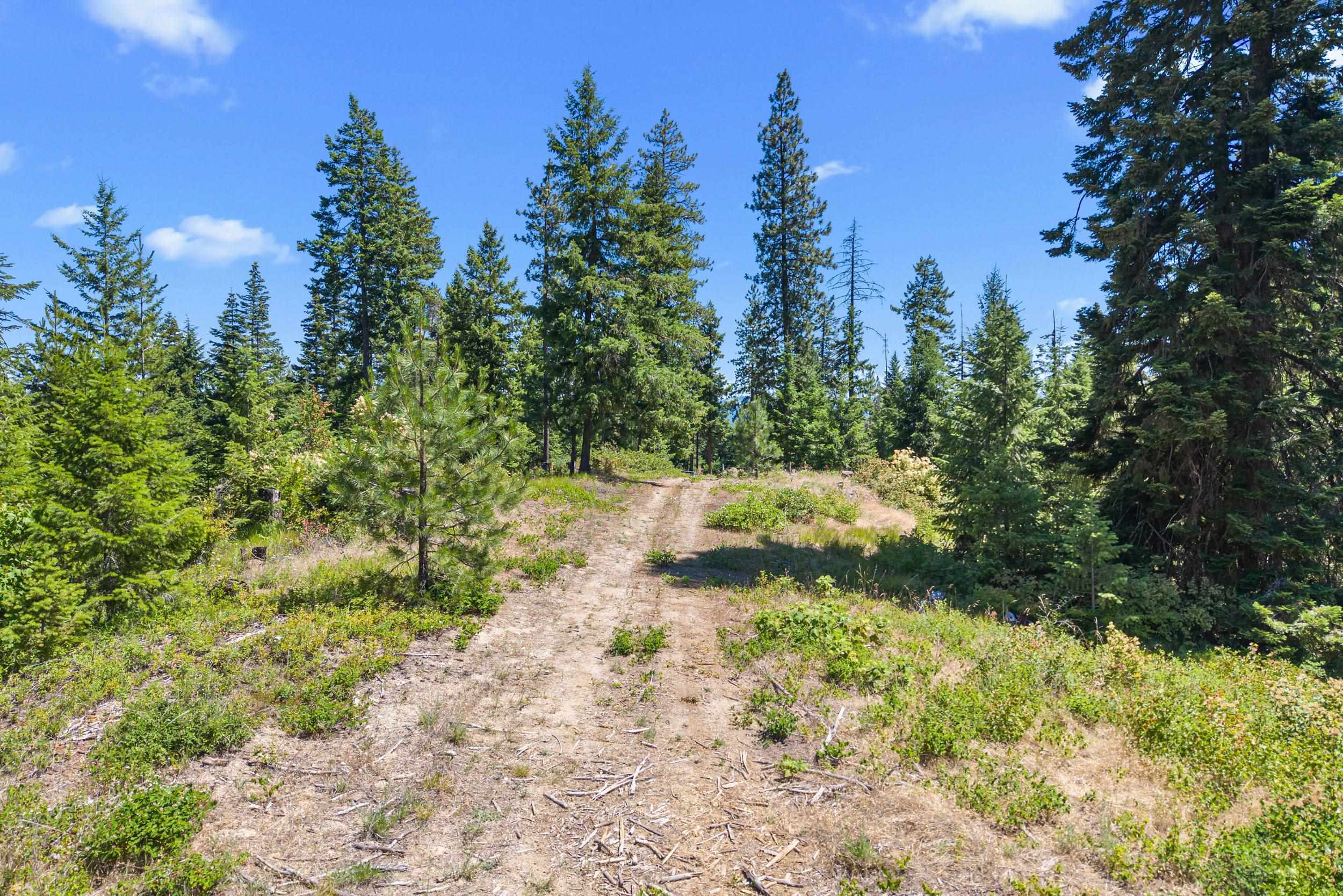 1022 Spring Hill Rd - Photo 19