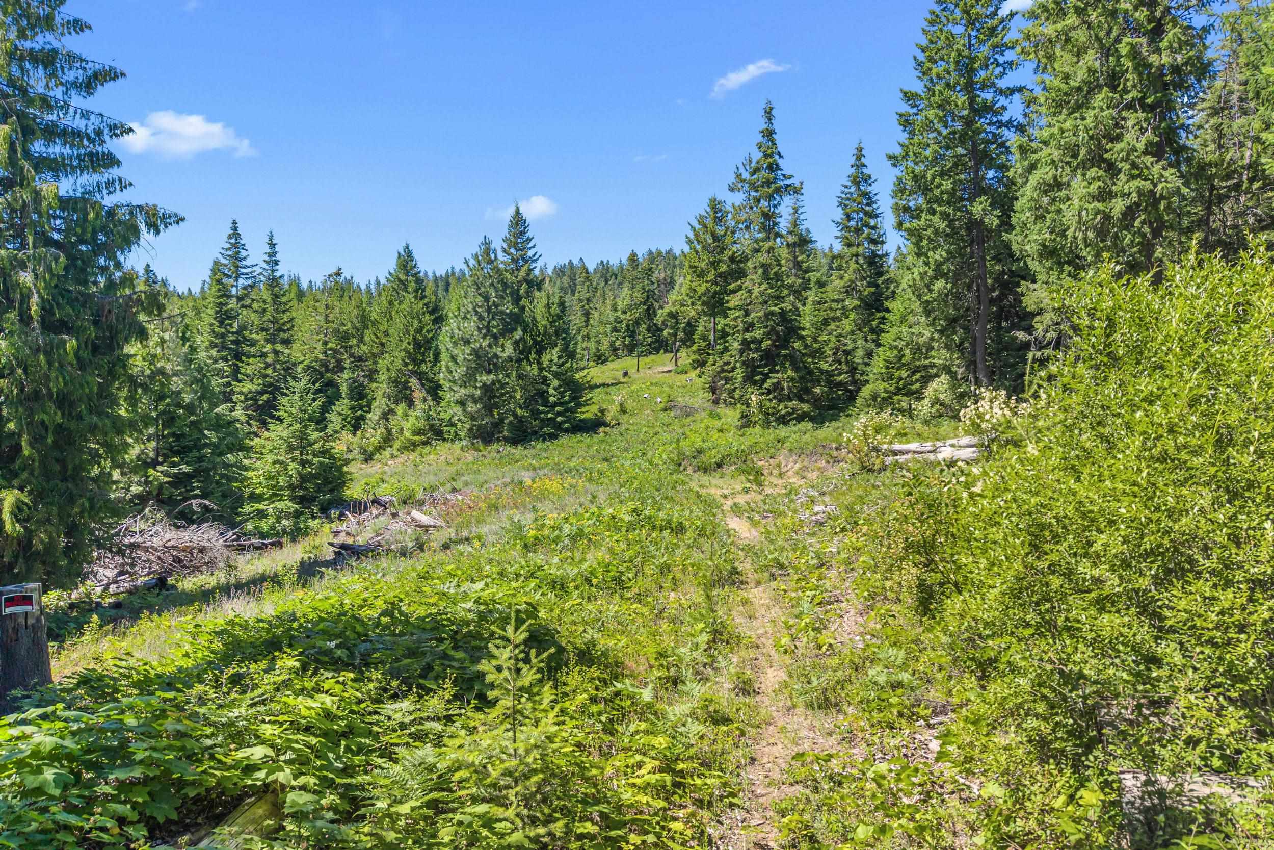 1022 Spring Hill Rd - Photo 26
