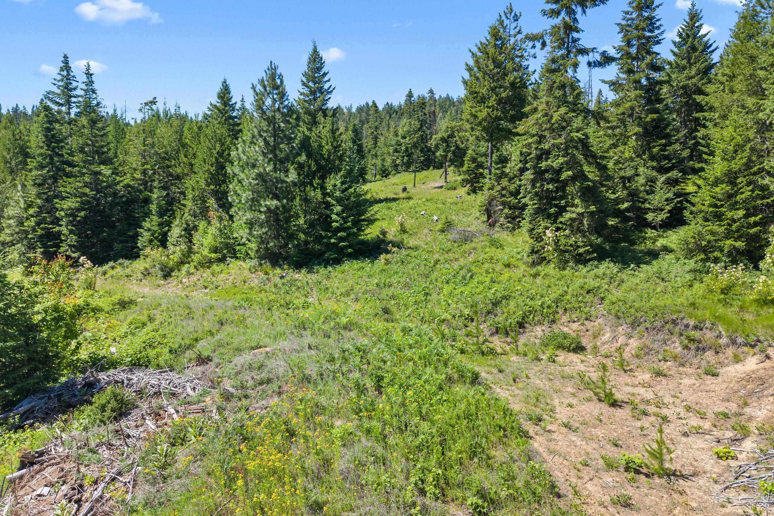 1022 Spring Hill Rd - Photo 27