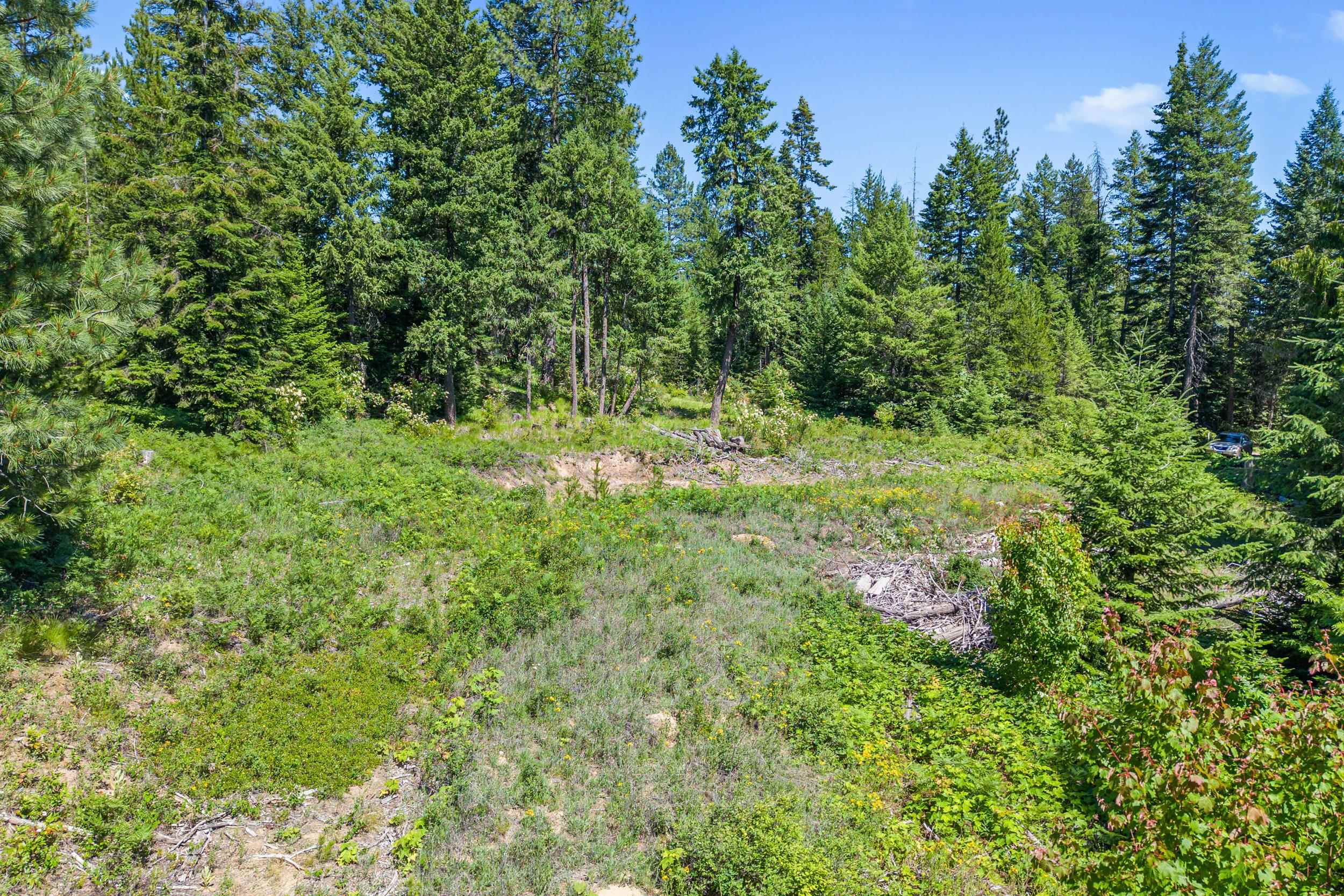 1022 Spring Hill Rd - Photo 28