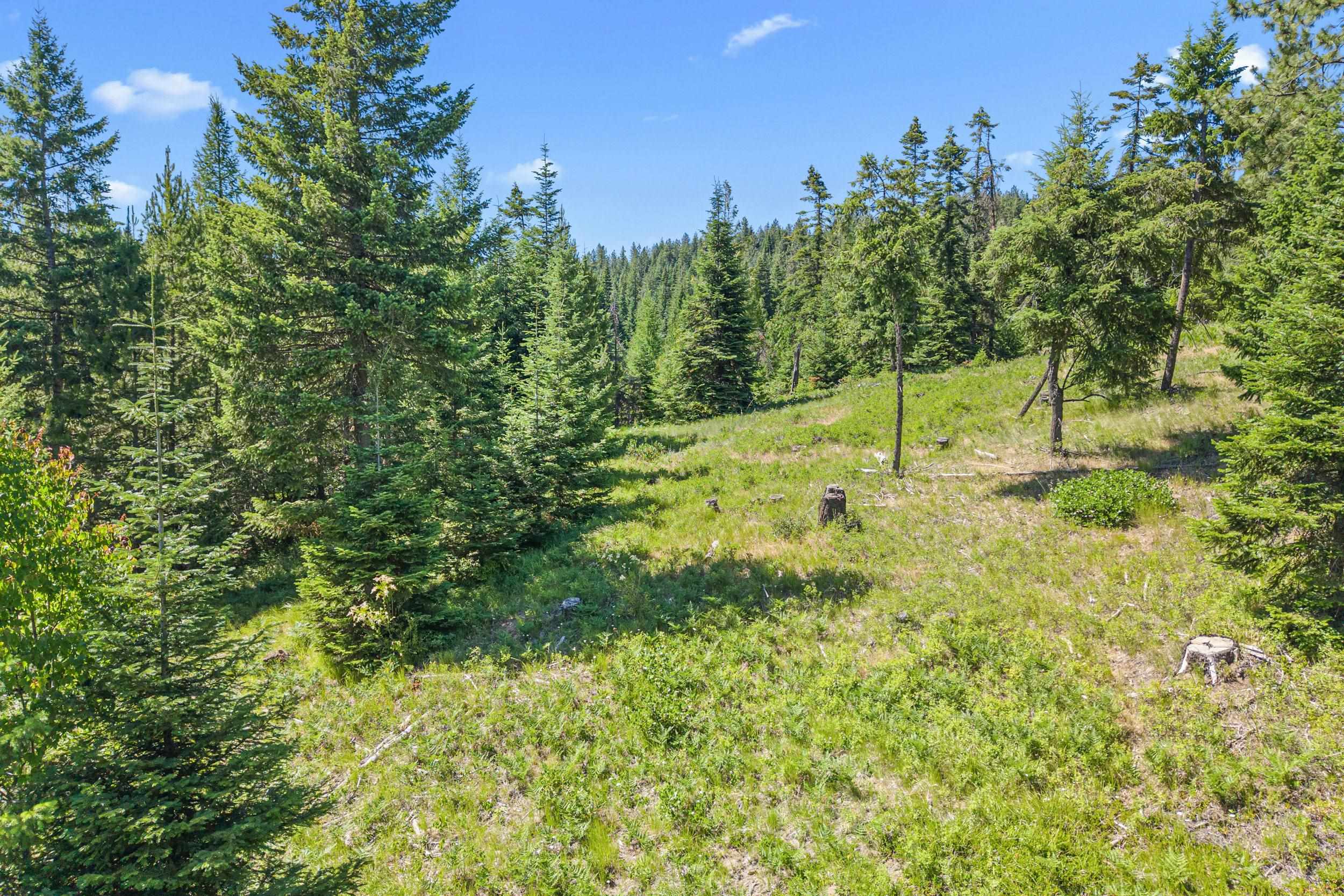 1022 Spring Hill Rd - Photo 29