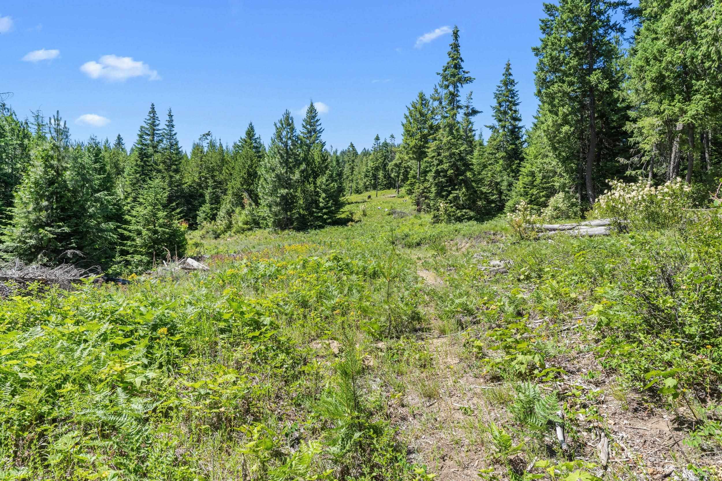 1022 Spring Hill Rd - Photo 31