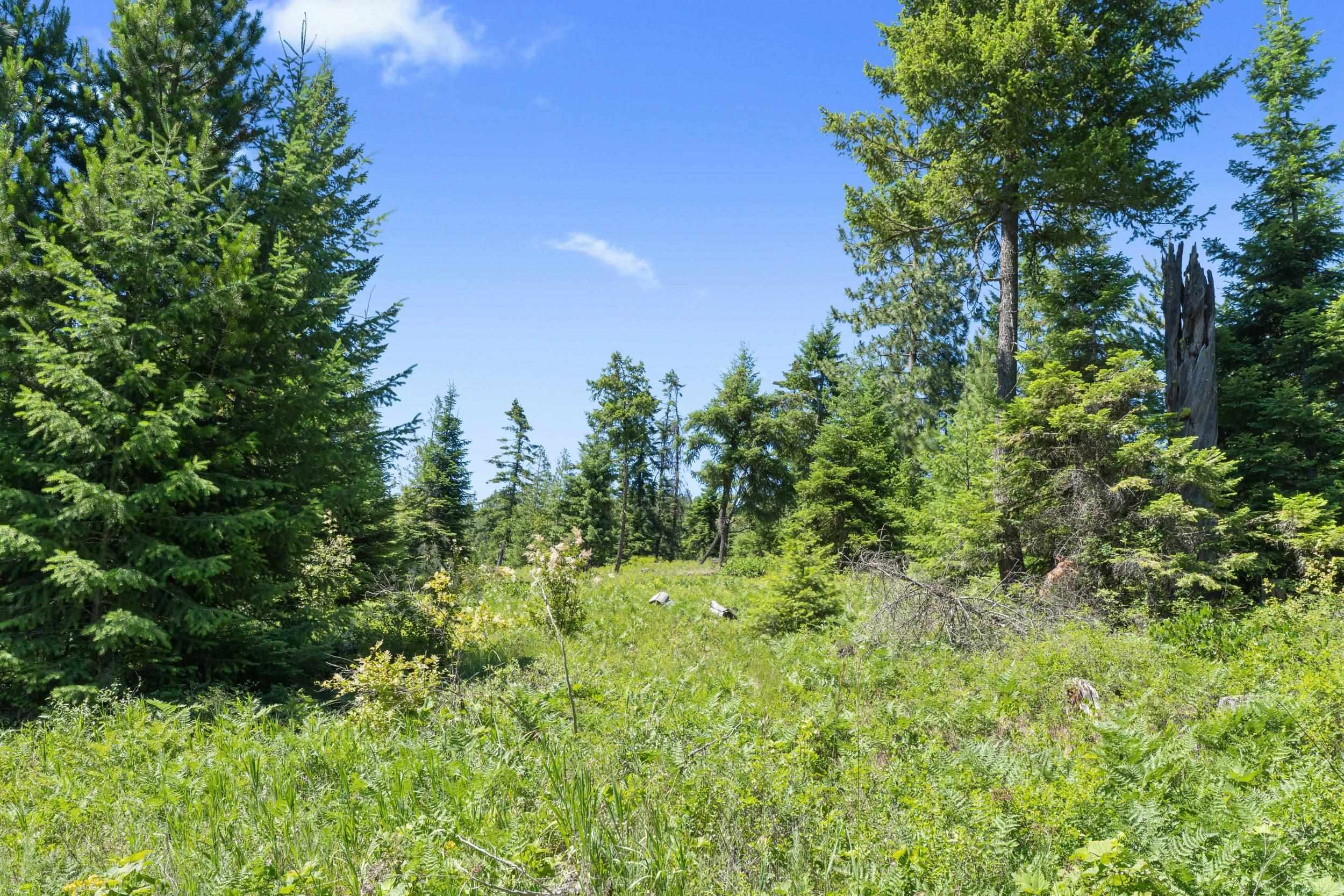 1022 Spring Hill Rd - Photo 32