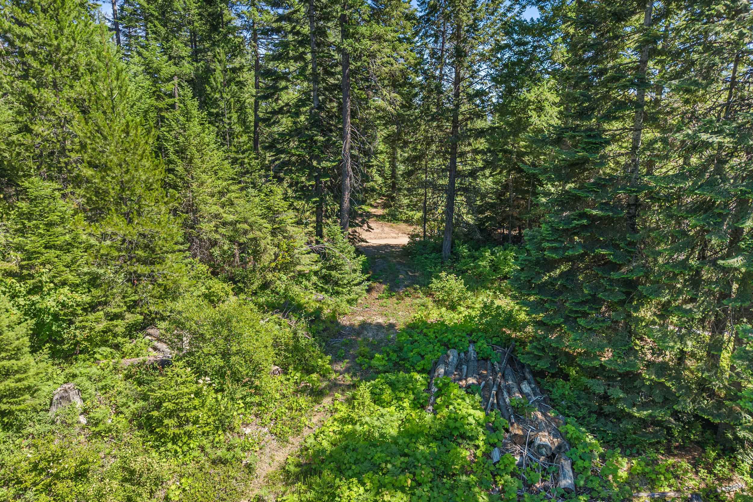 1022 Spring Hill Rd - Photo 34