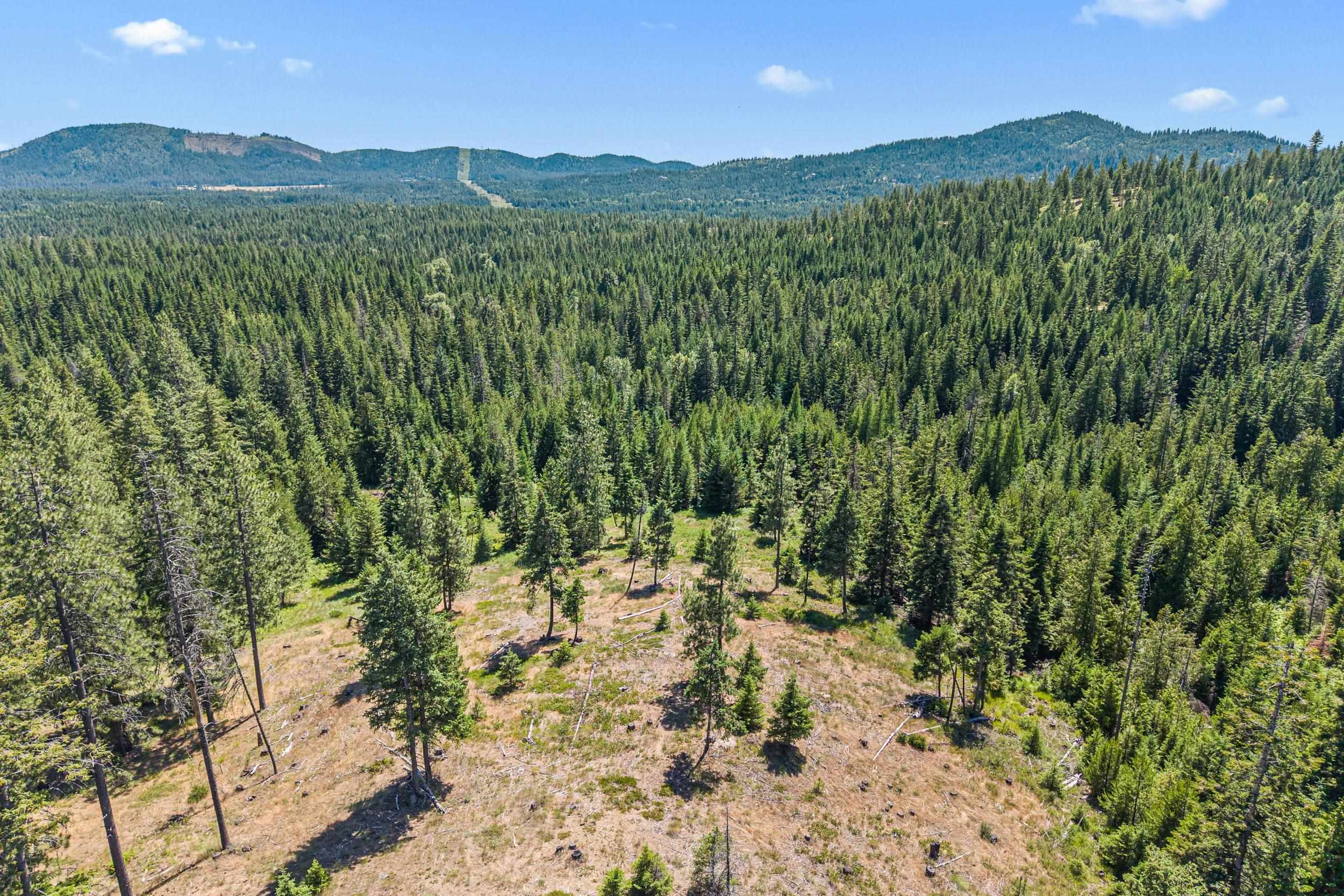 1022 Spring Hill Rd - Photo 37