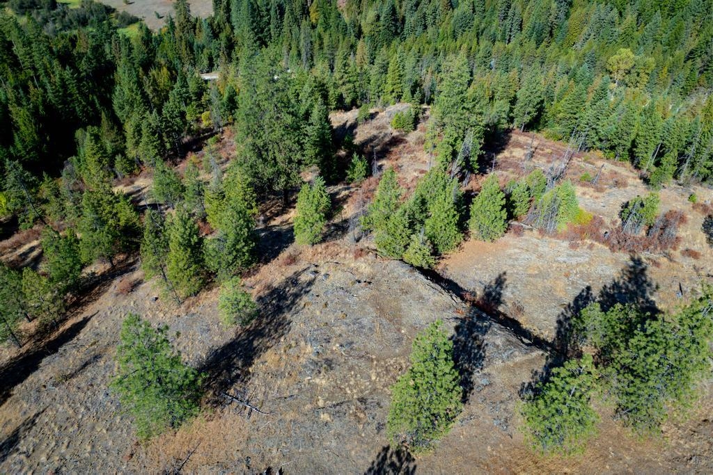 3401 Red Marble Rd - Photo 6