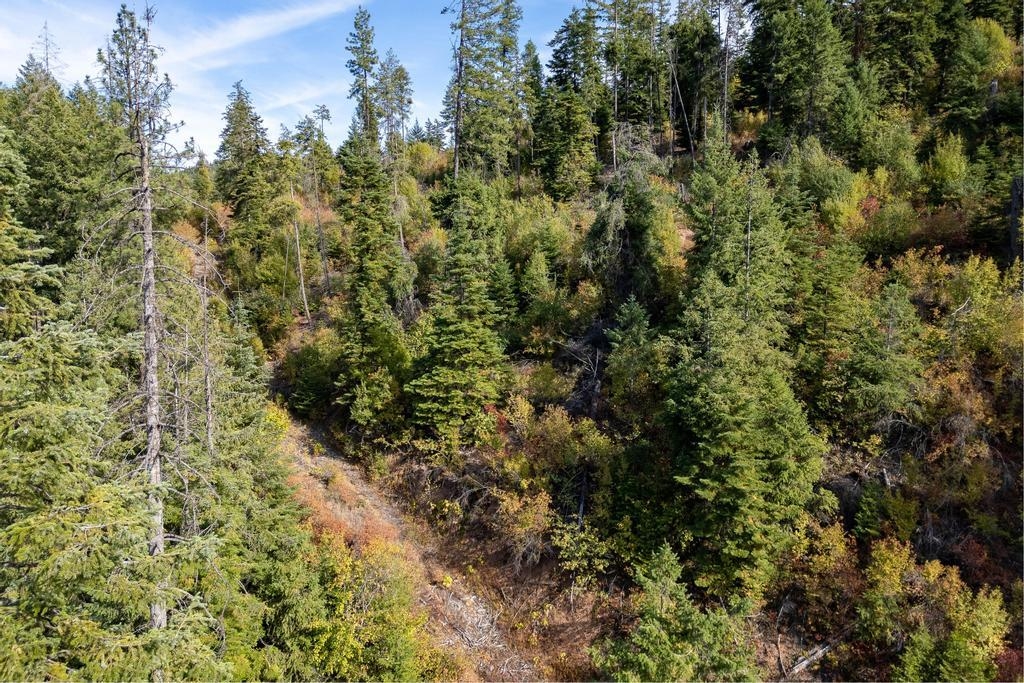3401 Red Marble Rd - Photo 11