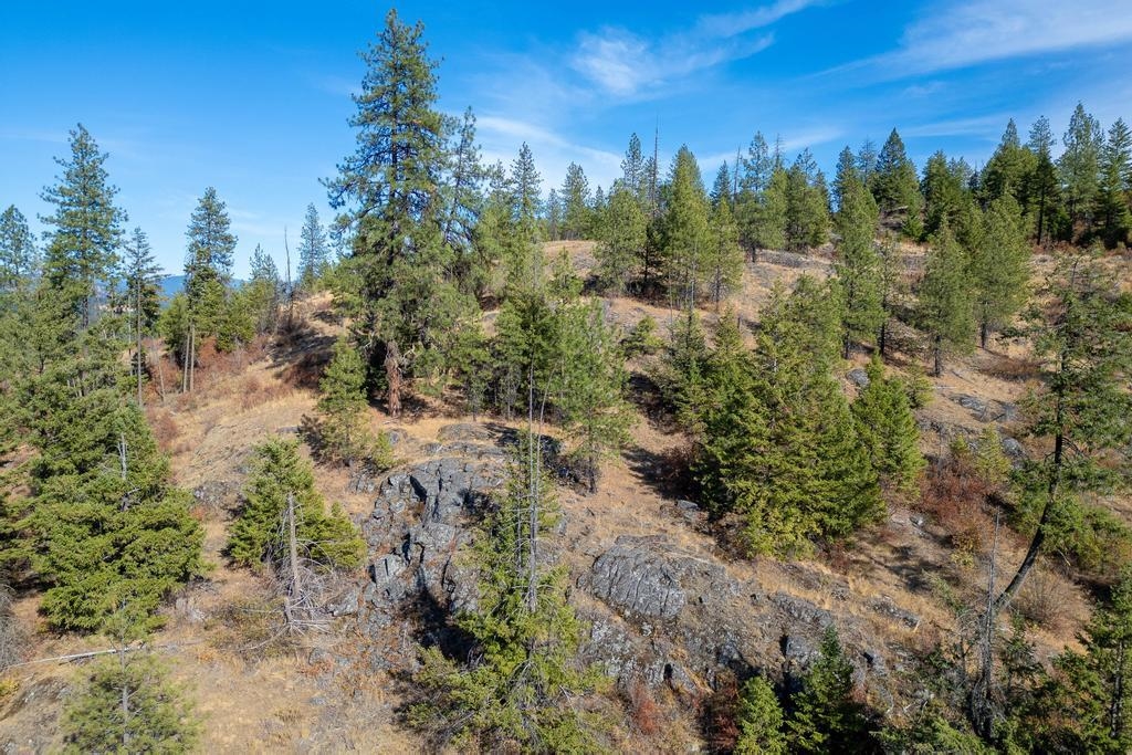 3401 Red Marble Rd - Photo 14