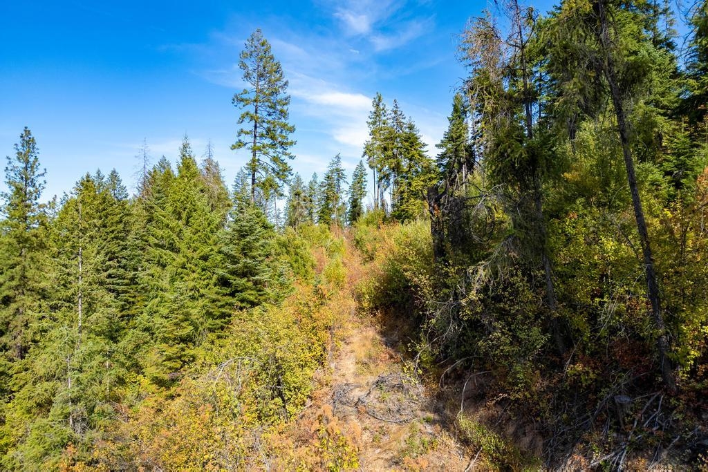 3401 Red Marble Rd - Photo 35