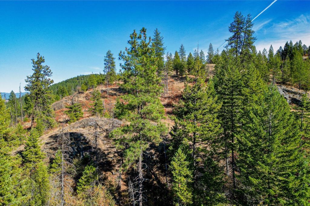 3401 Red Marble Rd - Photo 40