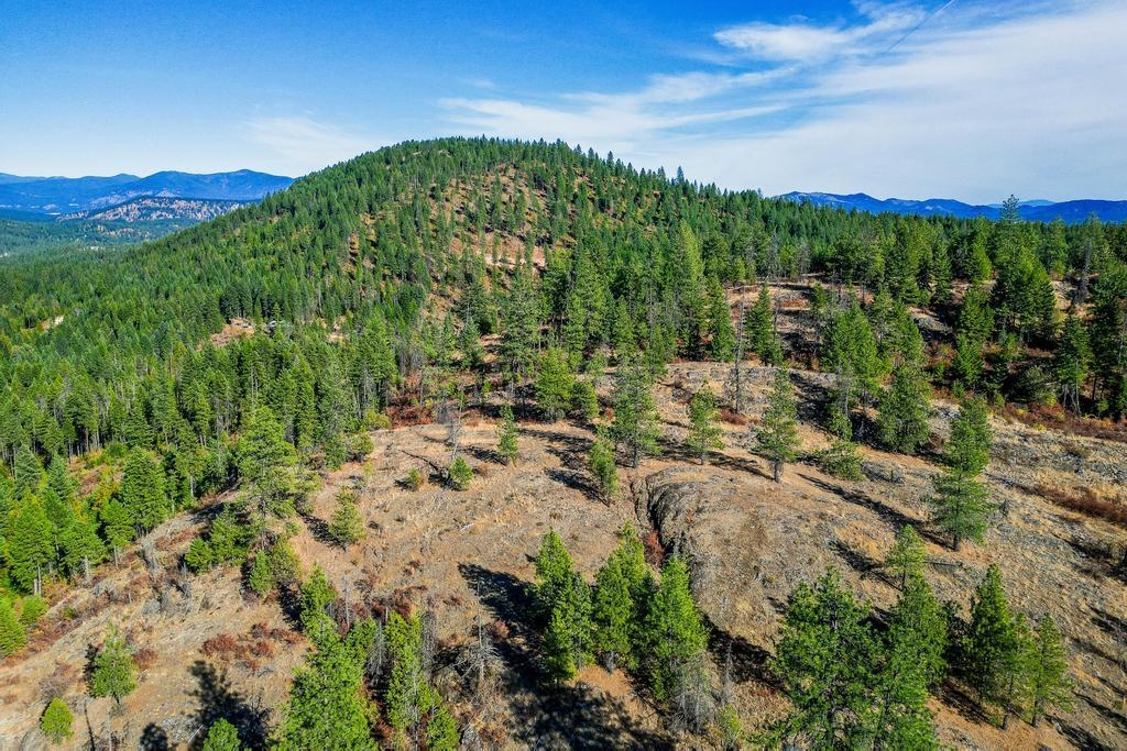 3401 Red Marble Rd - Photo 42