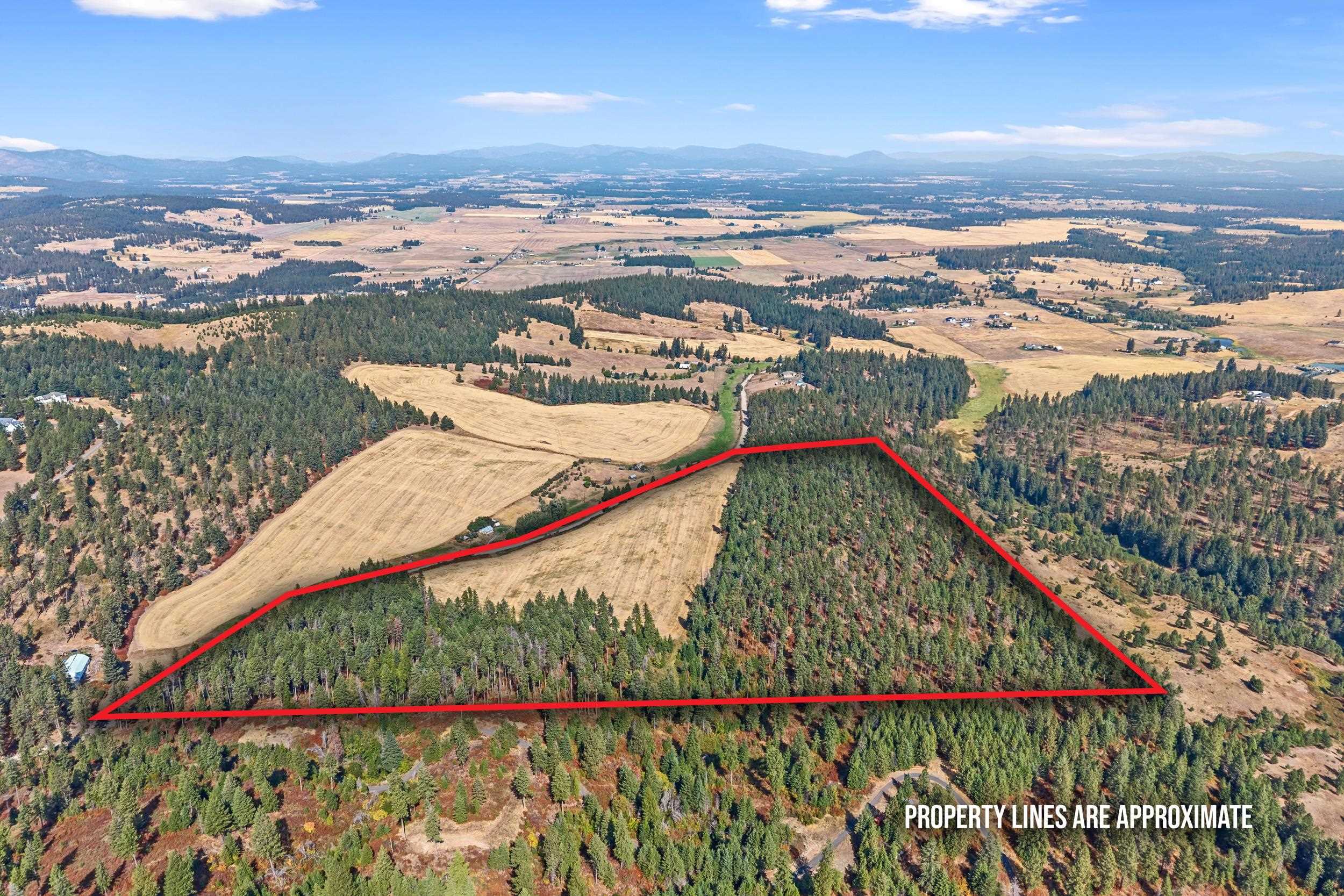 72XX Bernhill Rd - Photo 6