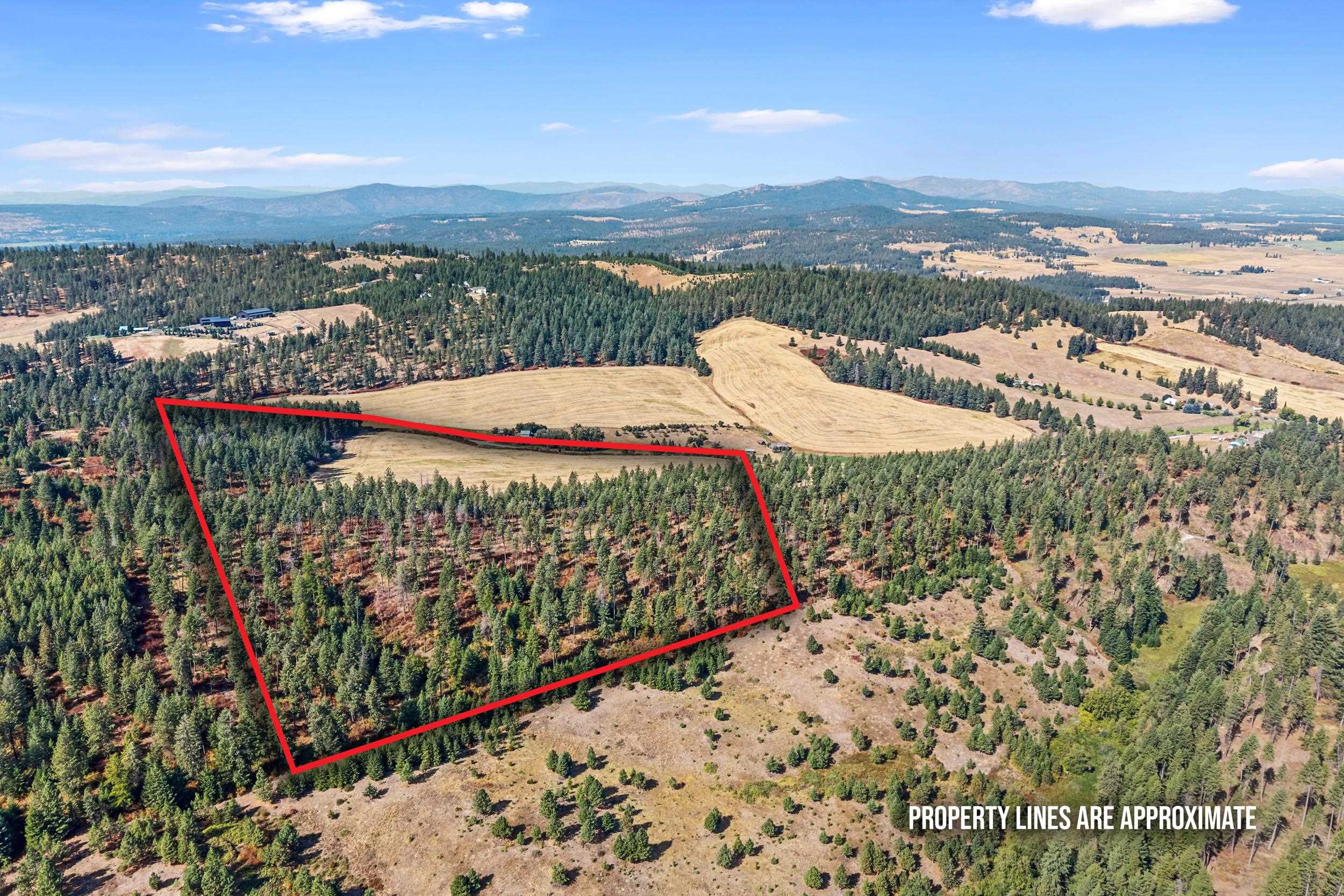 72XX Bernhill Rd - Photo 27