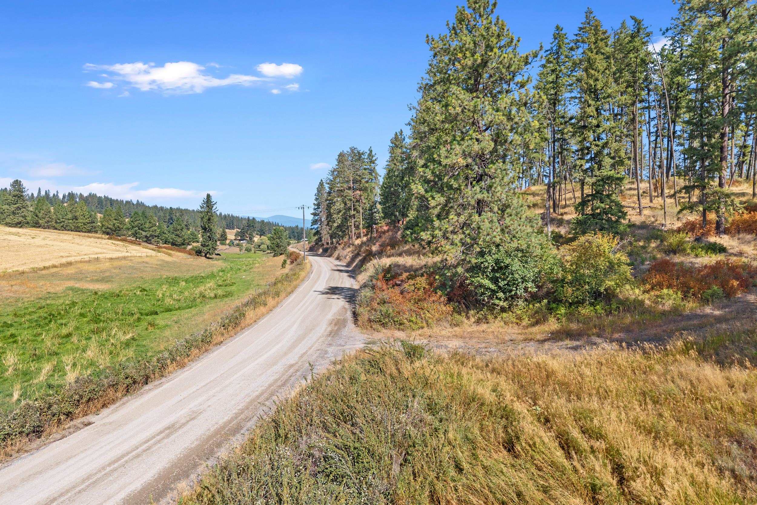 72XX Bernhill Rd - Photo 4