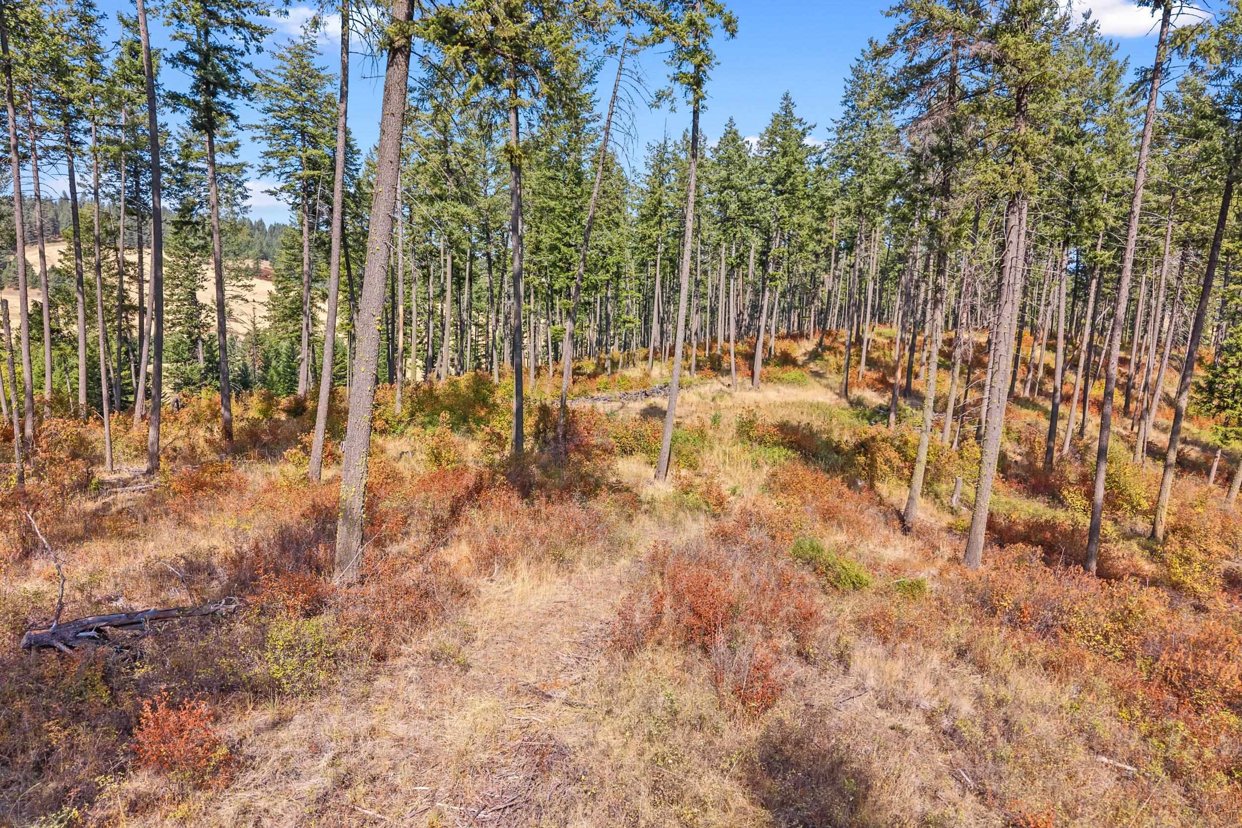 72XX Bernhill Rd - Photo 9