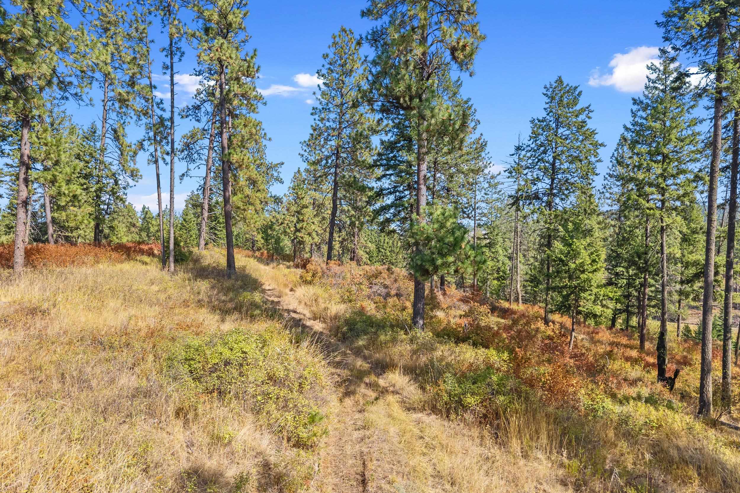 72XX Bernhill Rd - Photo 10