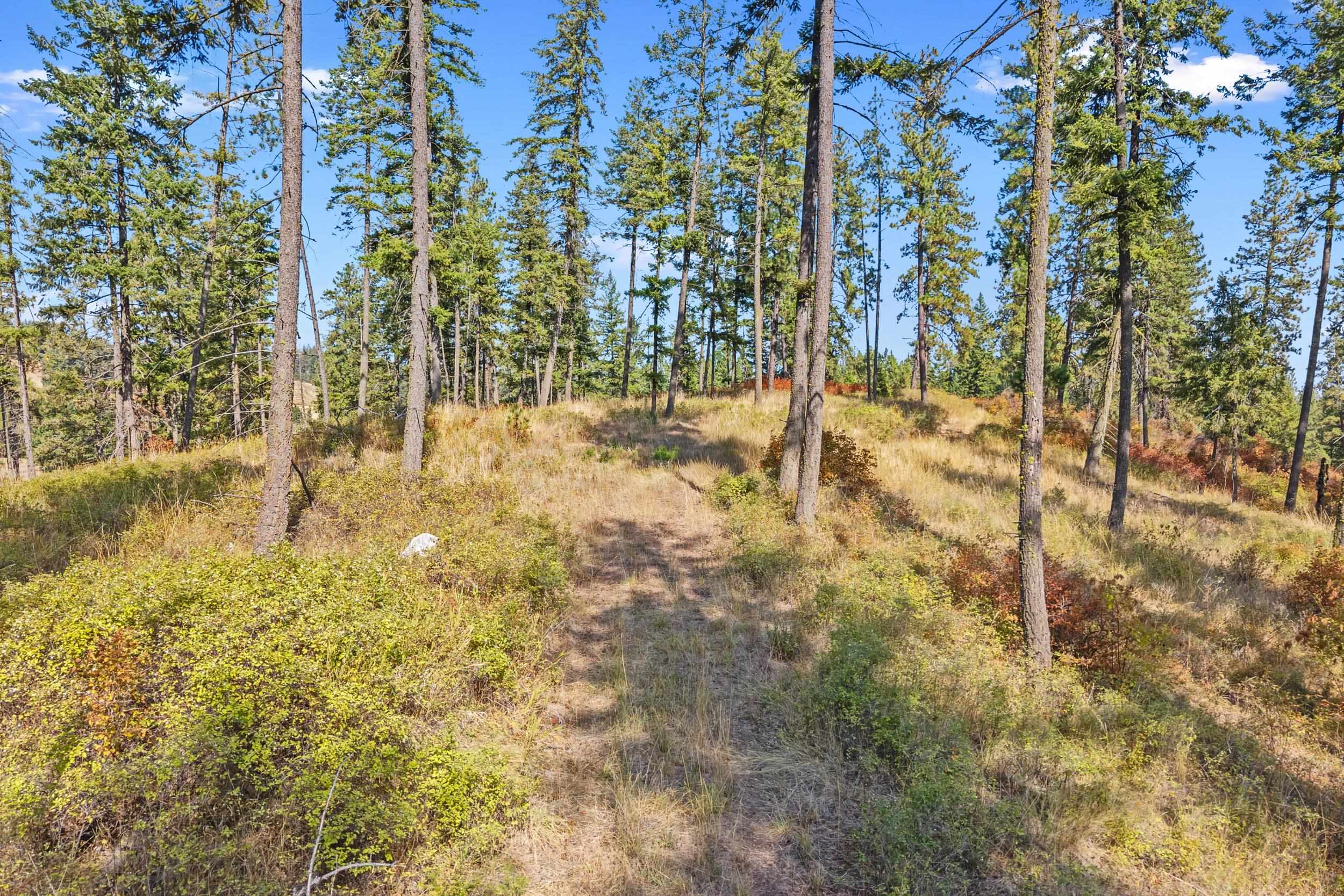 72XX Bernhill Rd - Photo 11