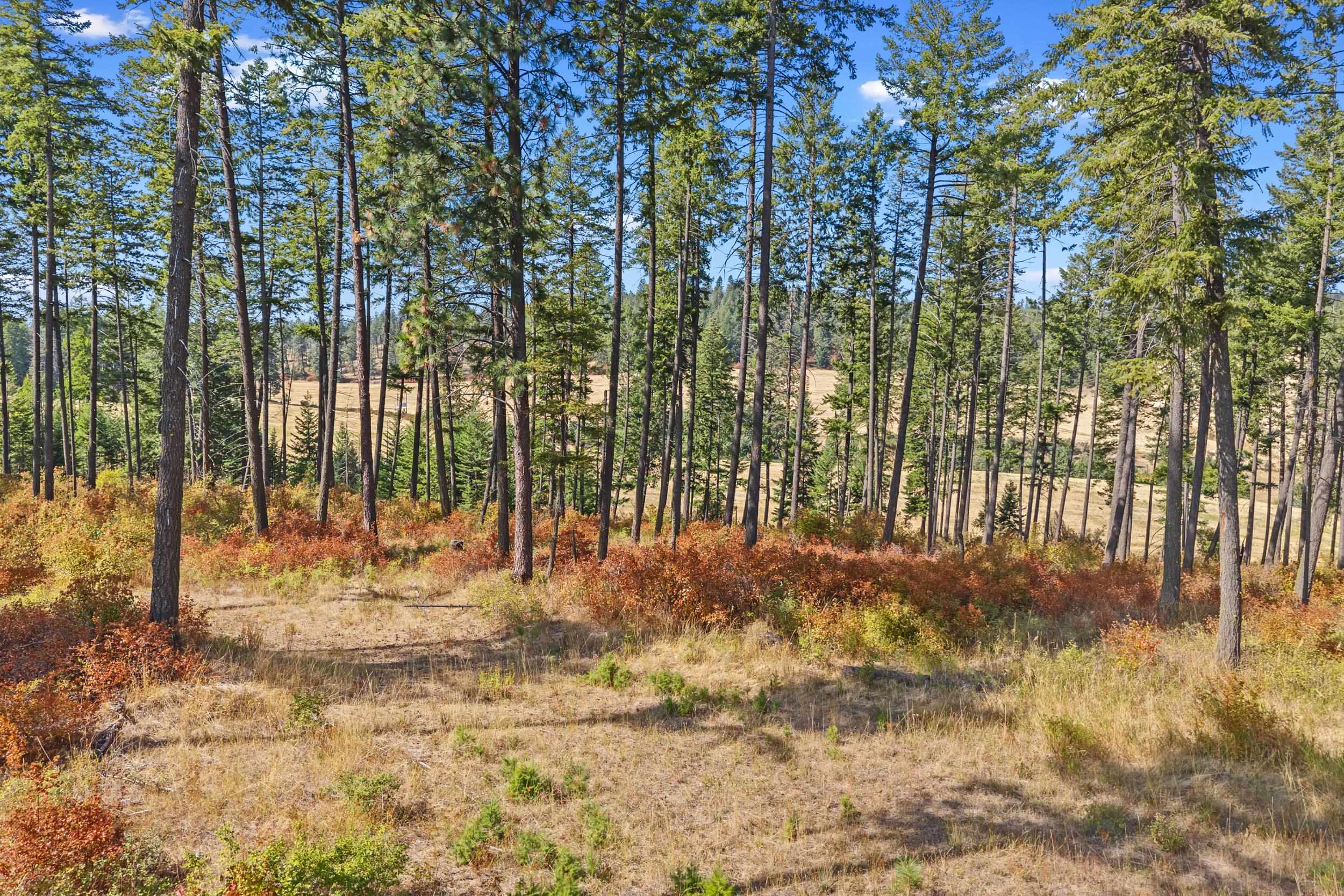 72XX Bernhill Rd - Photo 12