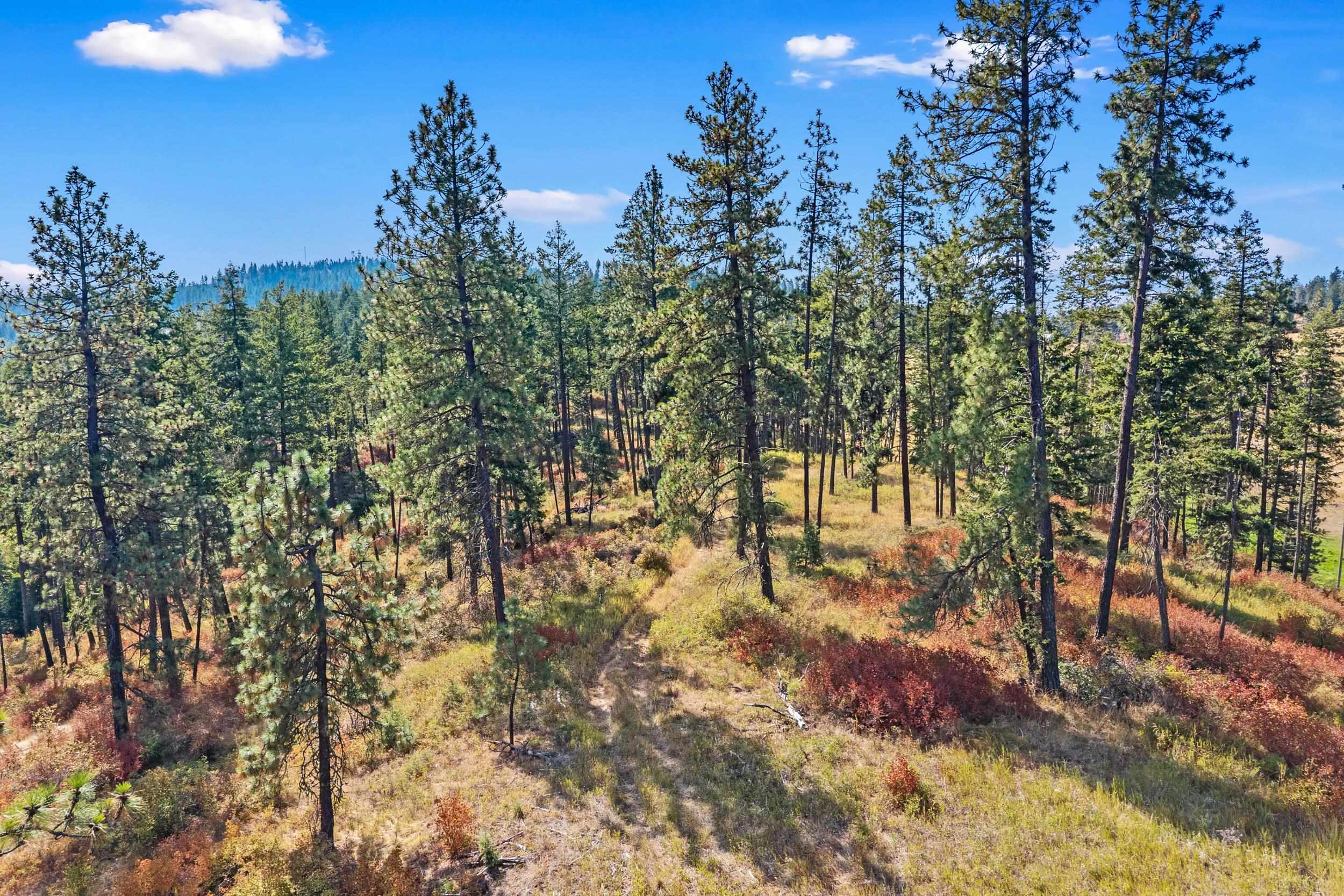 72XX Bernhill Rd - Photo 14