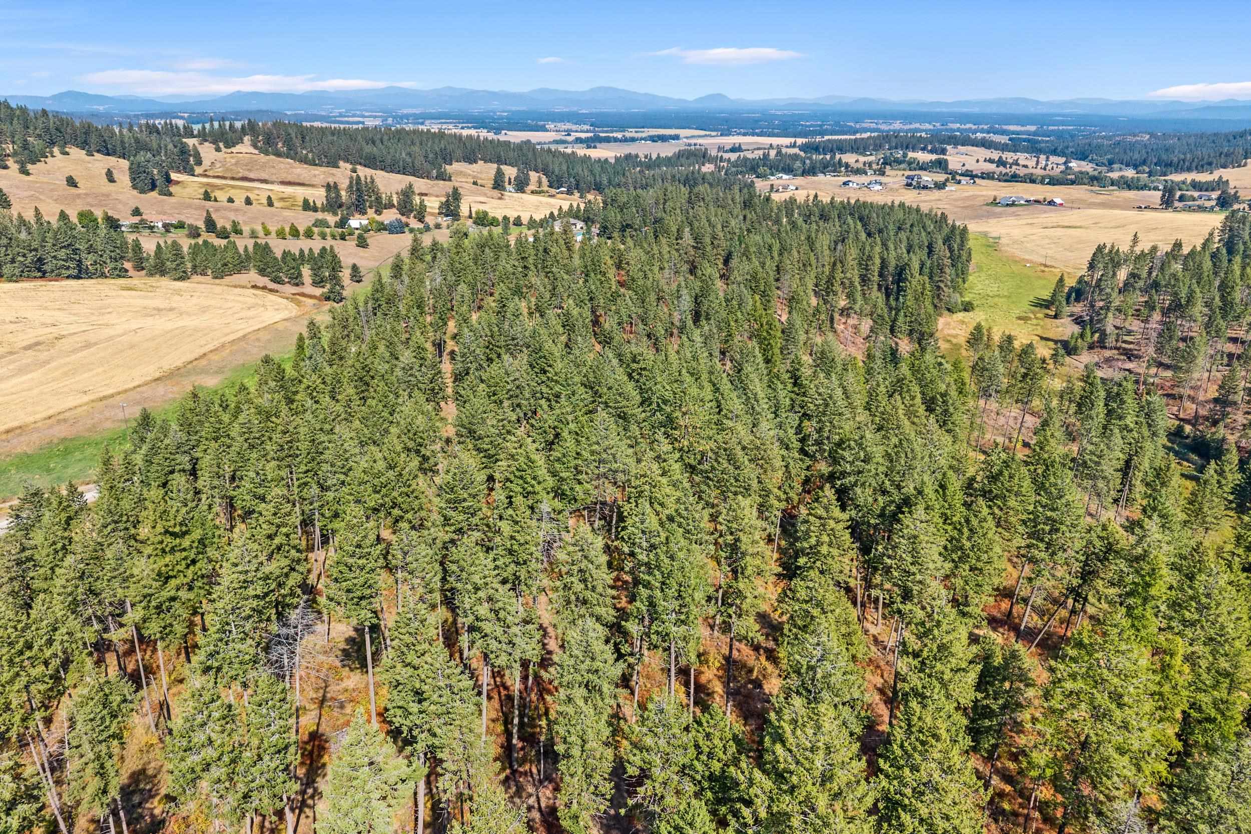 72XX Bernhill Rd - Photo 15