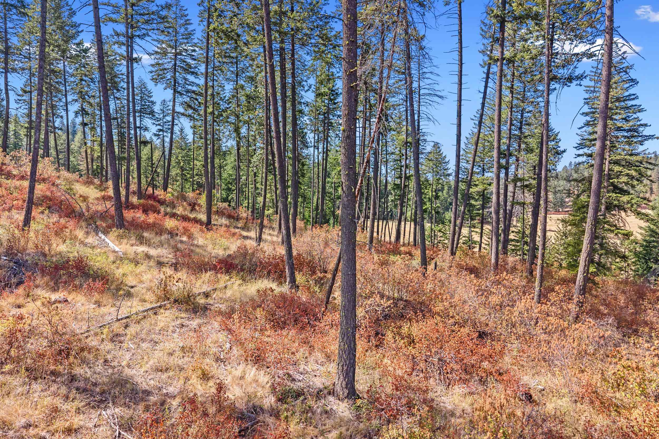 72XX Bernhill Rd - Photo 17
