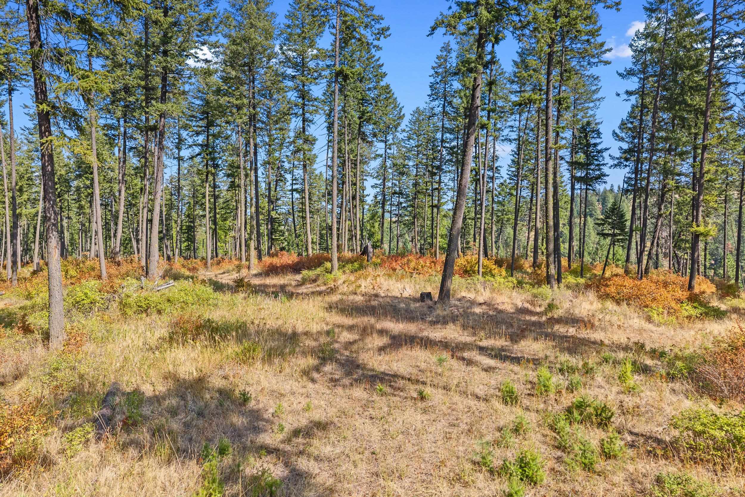 72XX Bernhill Rd - Photo 18