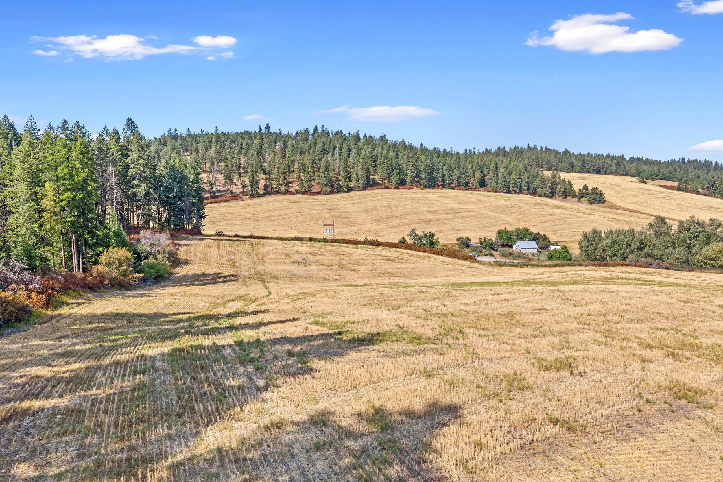72XX Bernhill Rd - Photo 1