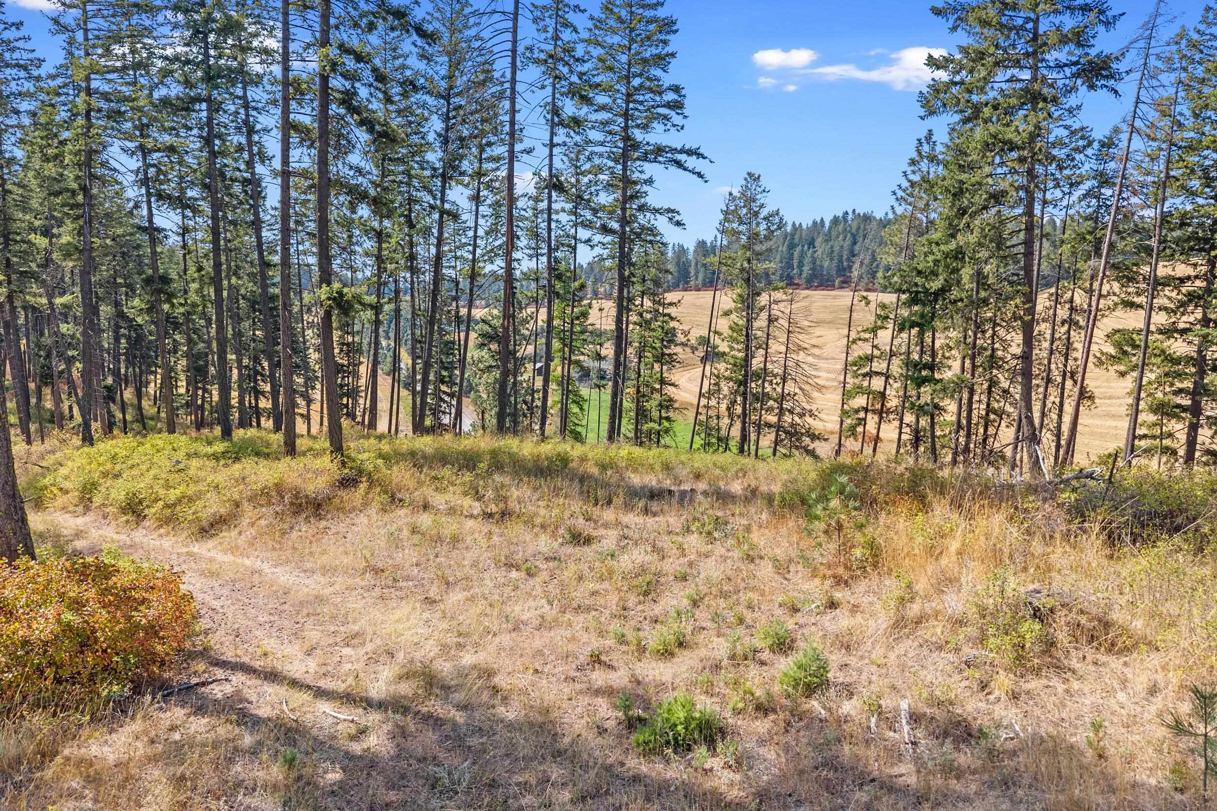 72XX Bernhill Rd - Photo 22