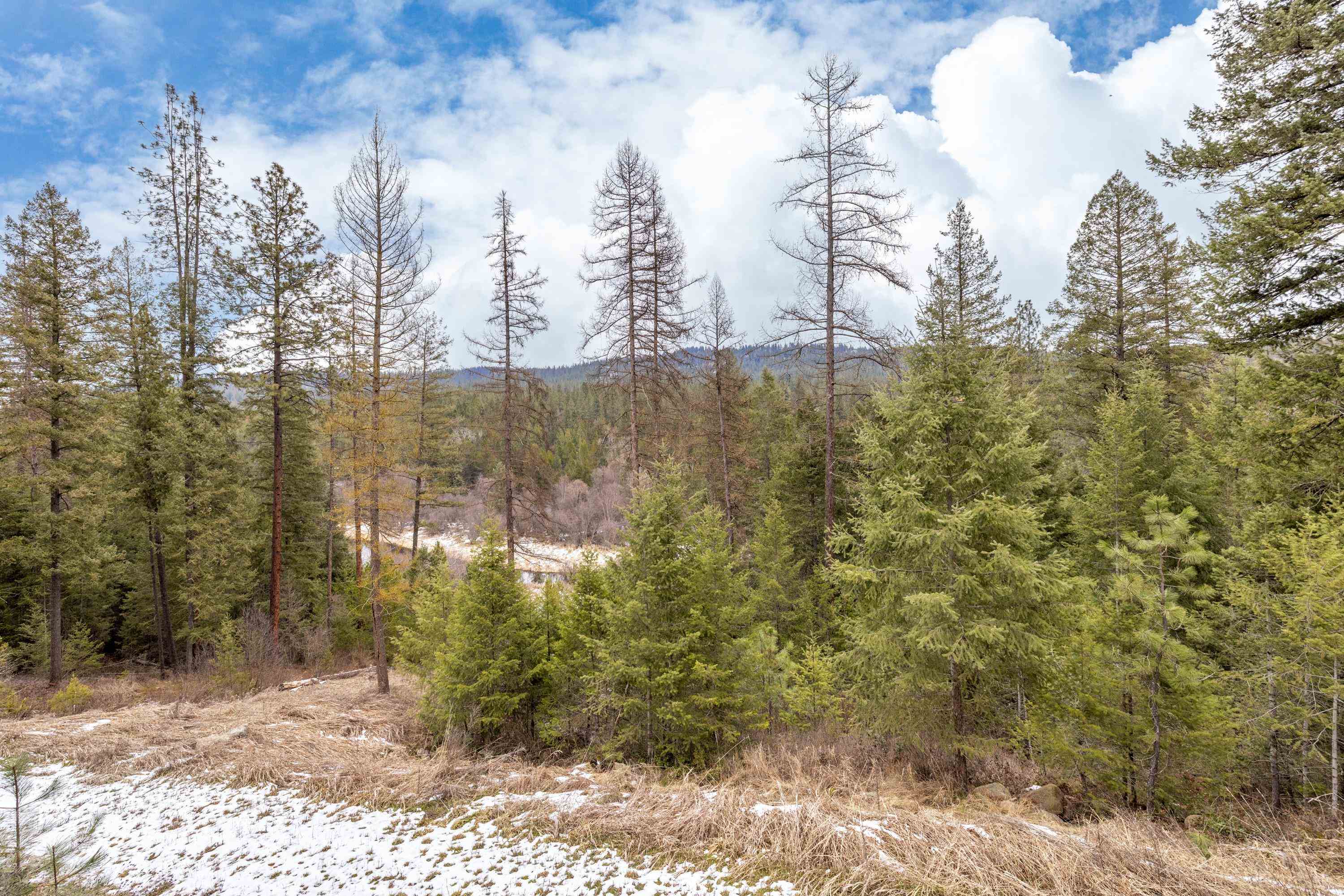 32410 N Ridge Rd - Photo 5