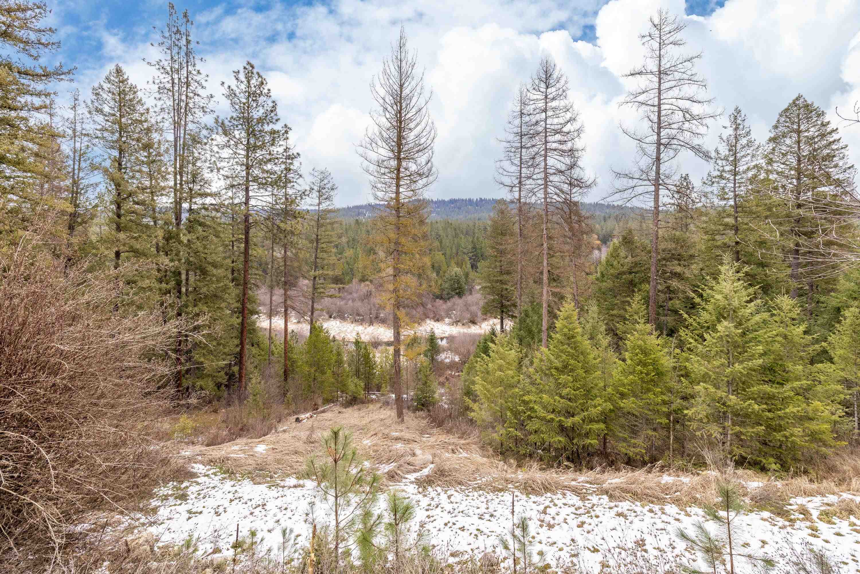 32410 N Ridge Rd - Photo 6