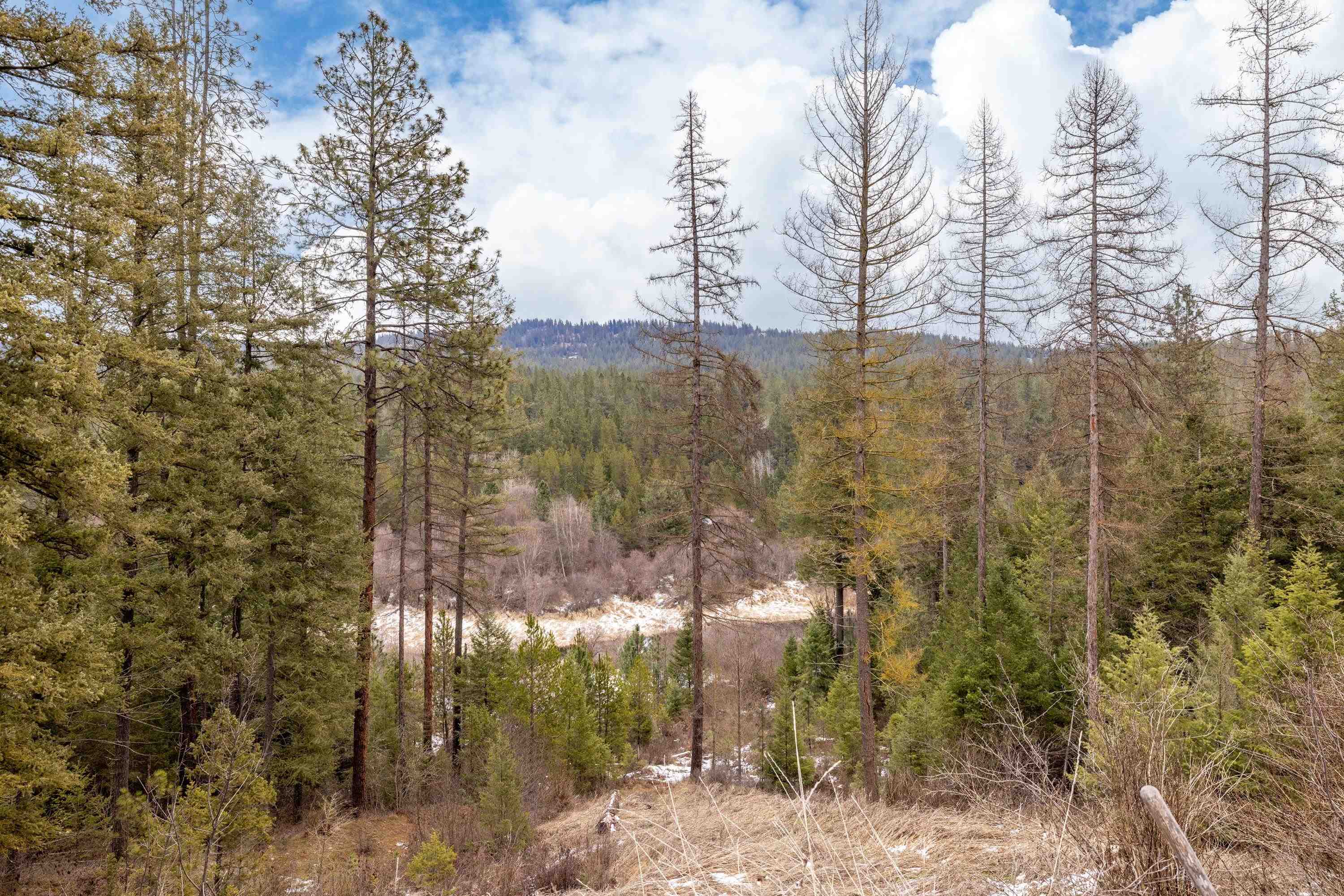 32410 N Ridge Rd - Photo 8