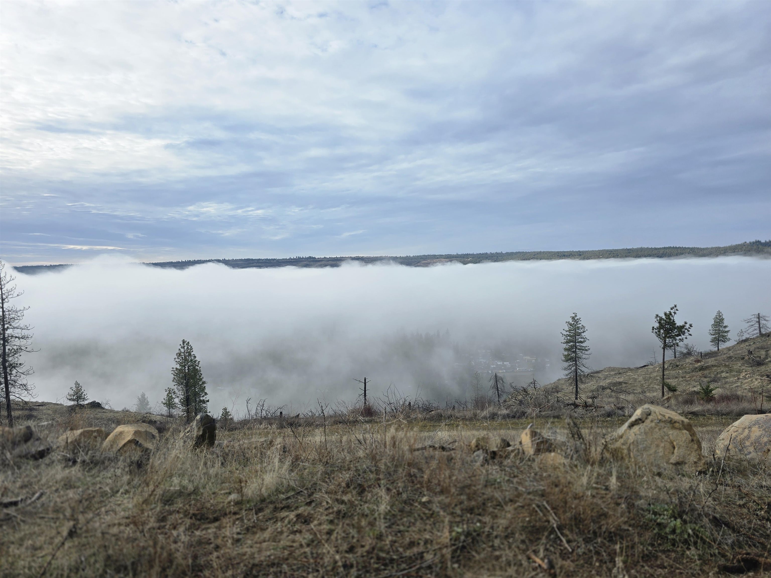 XX Pine Ridge Way - Photo 7