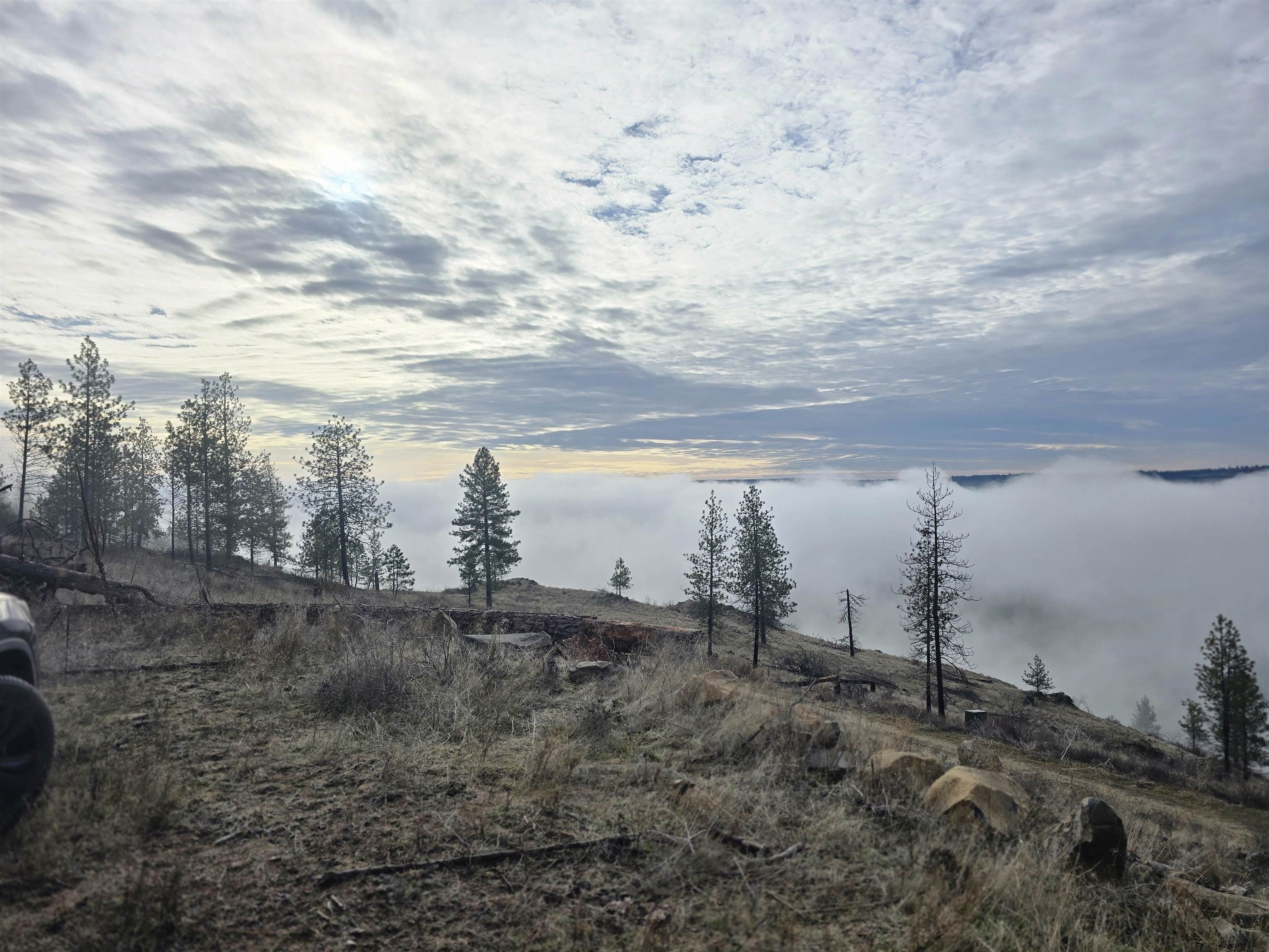 XX Pine Ridge Way - Photo 1